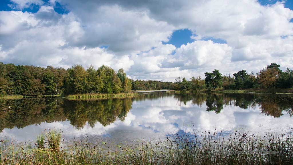 Naturhäuschen in Maarsbergen