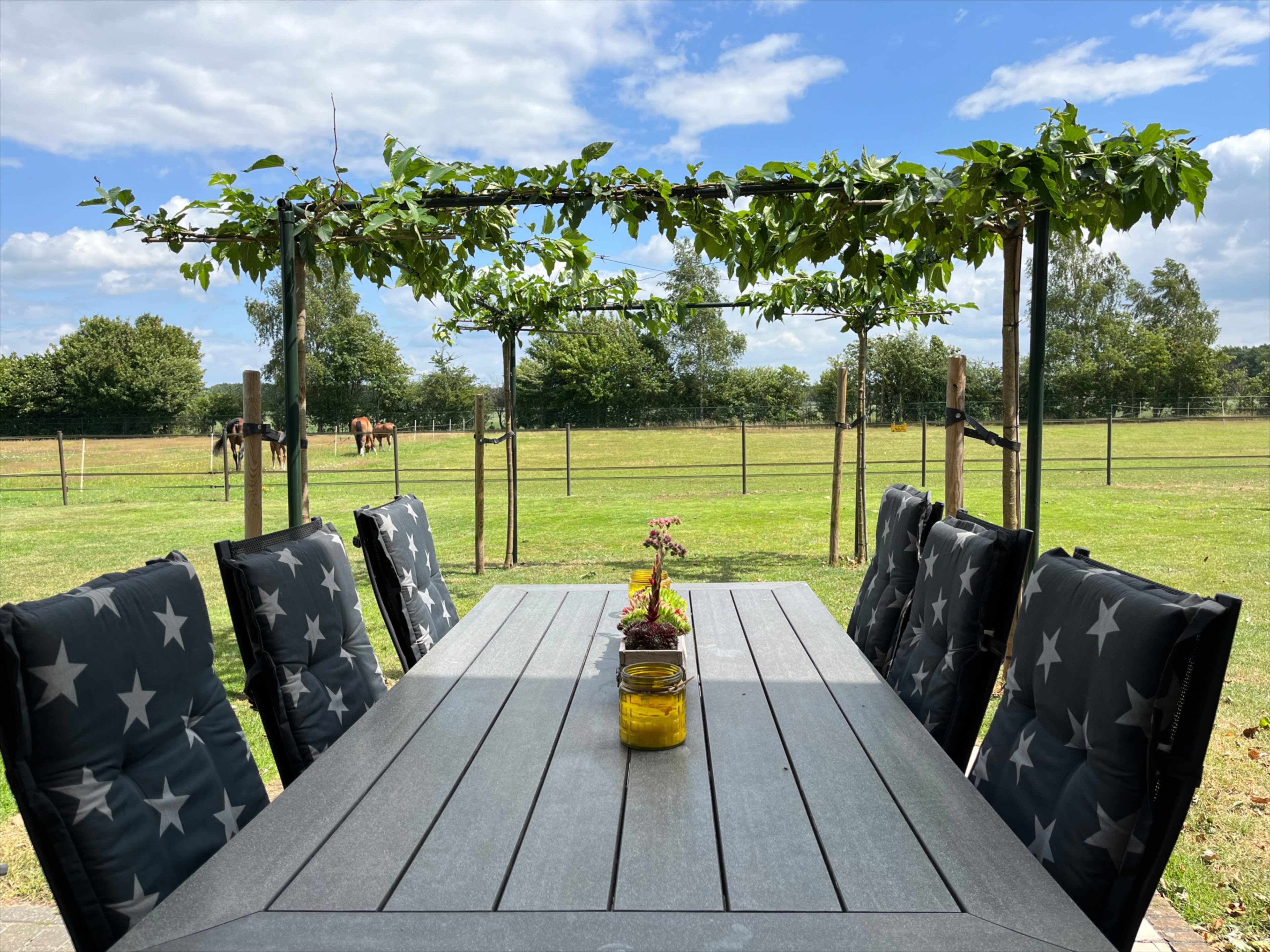 Natuurhuisje in Beerze