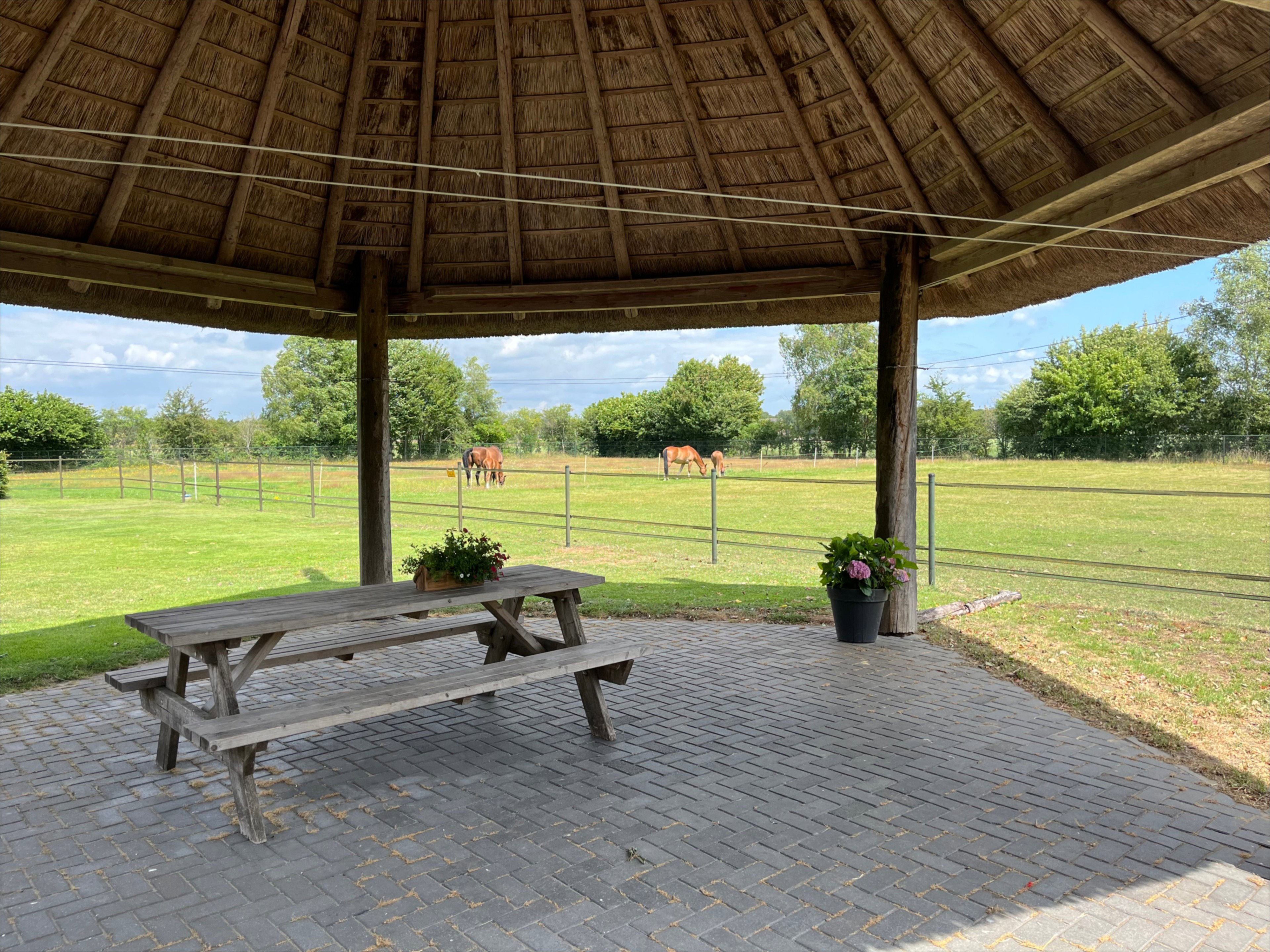 Natuurhuisje in Beerze