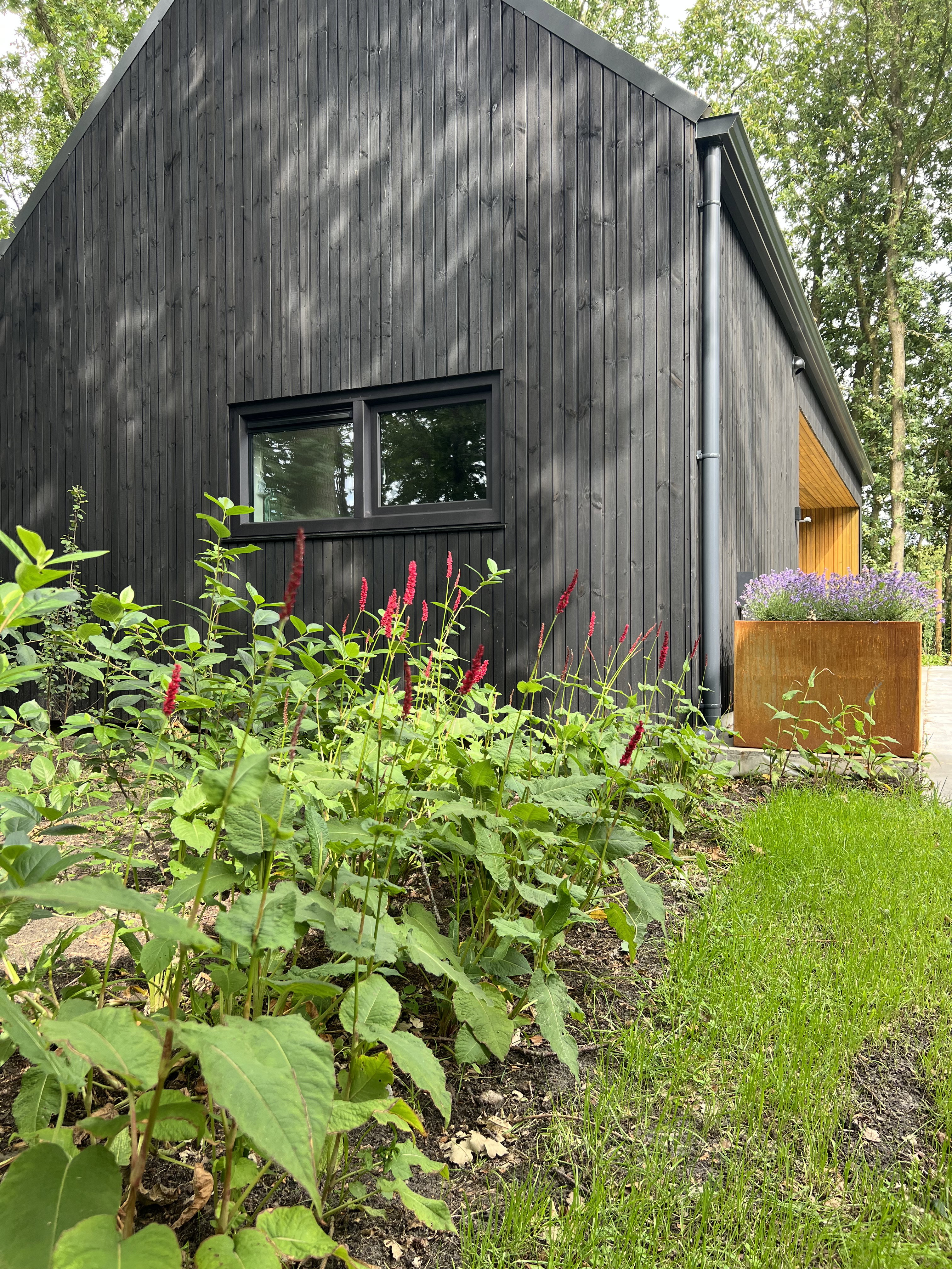 Natuurhuisje in Siegerswoude