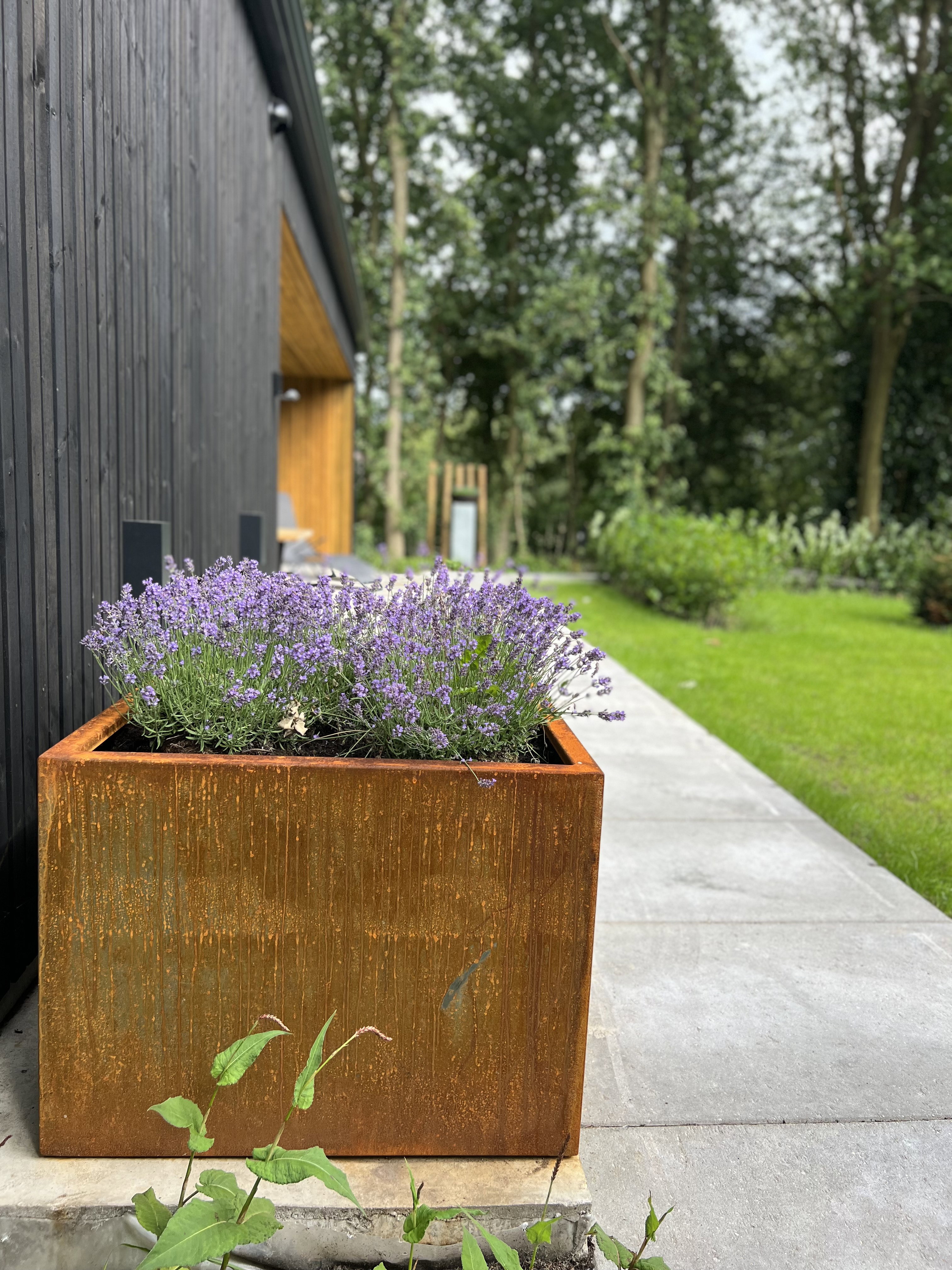 Natuurhuisje in Siegerswoude