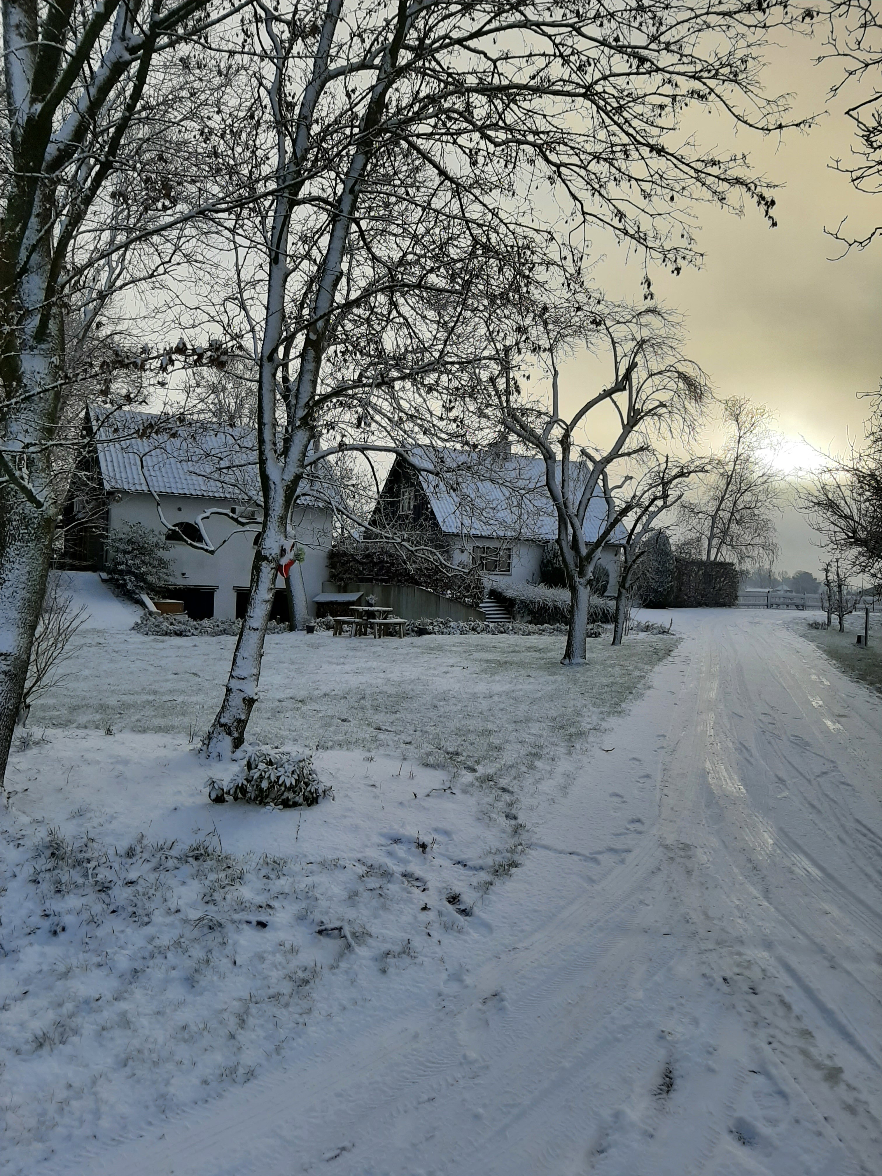 - image: 28