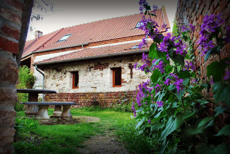 Maison nature à Mont Saint Eloi