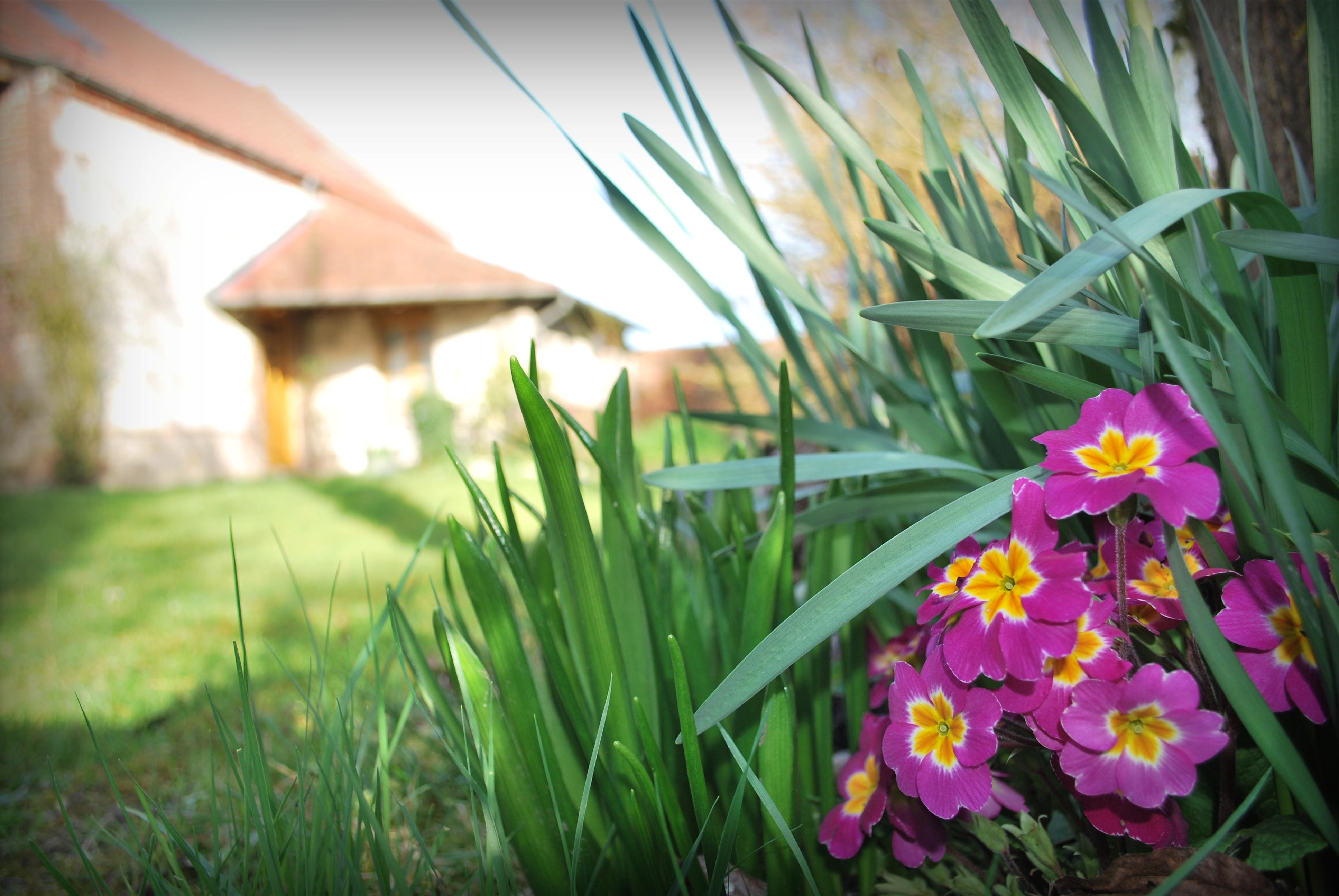 Maison nature à Mont Saint Eloi