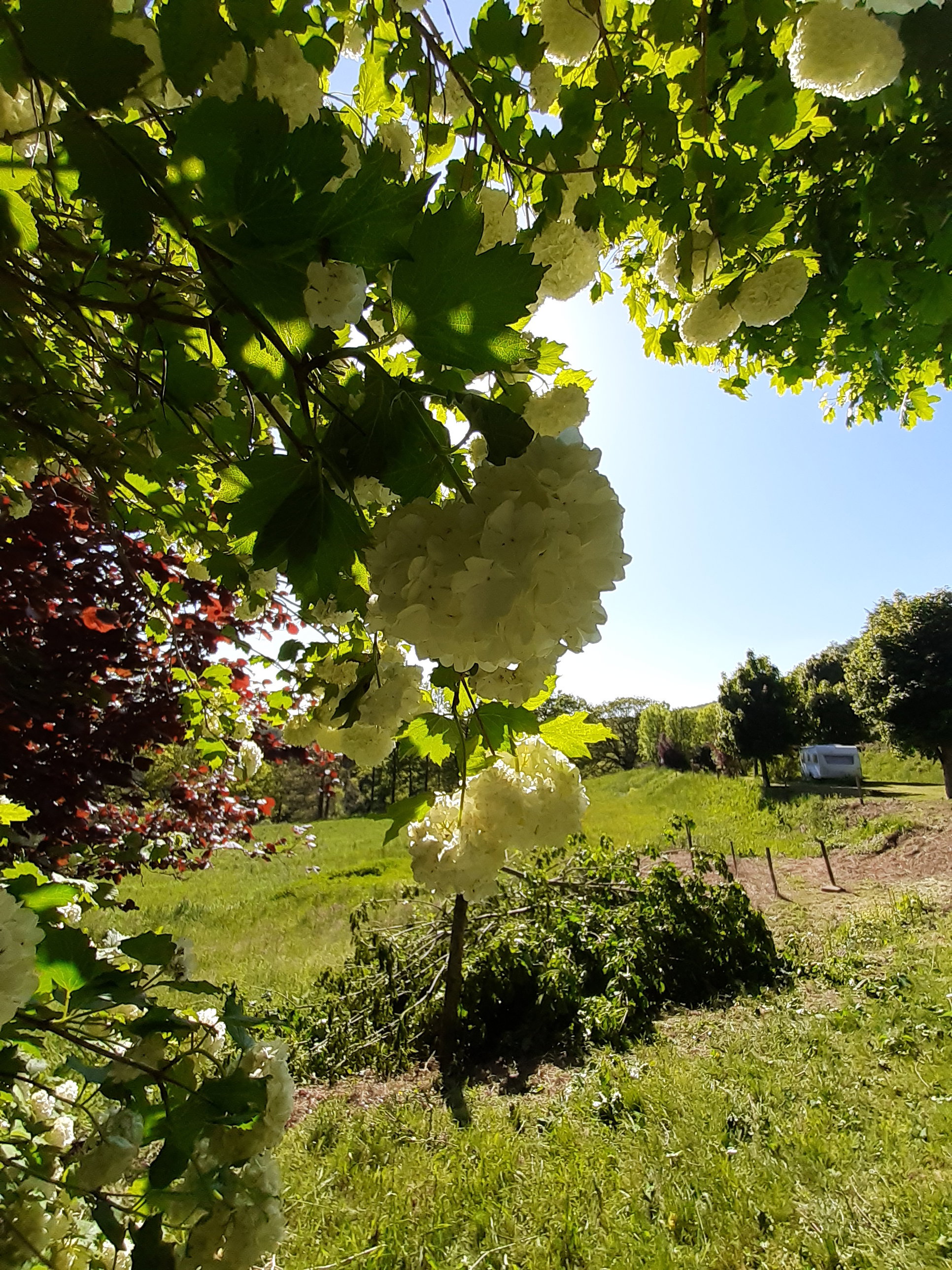 Maison nature à Nages