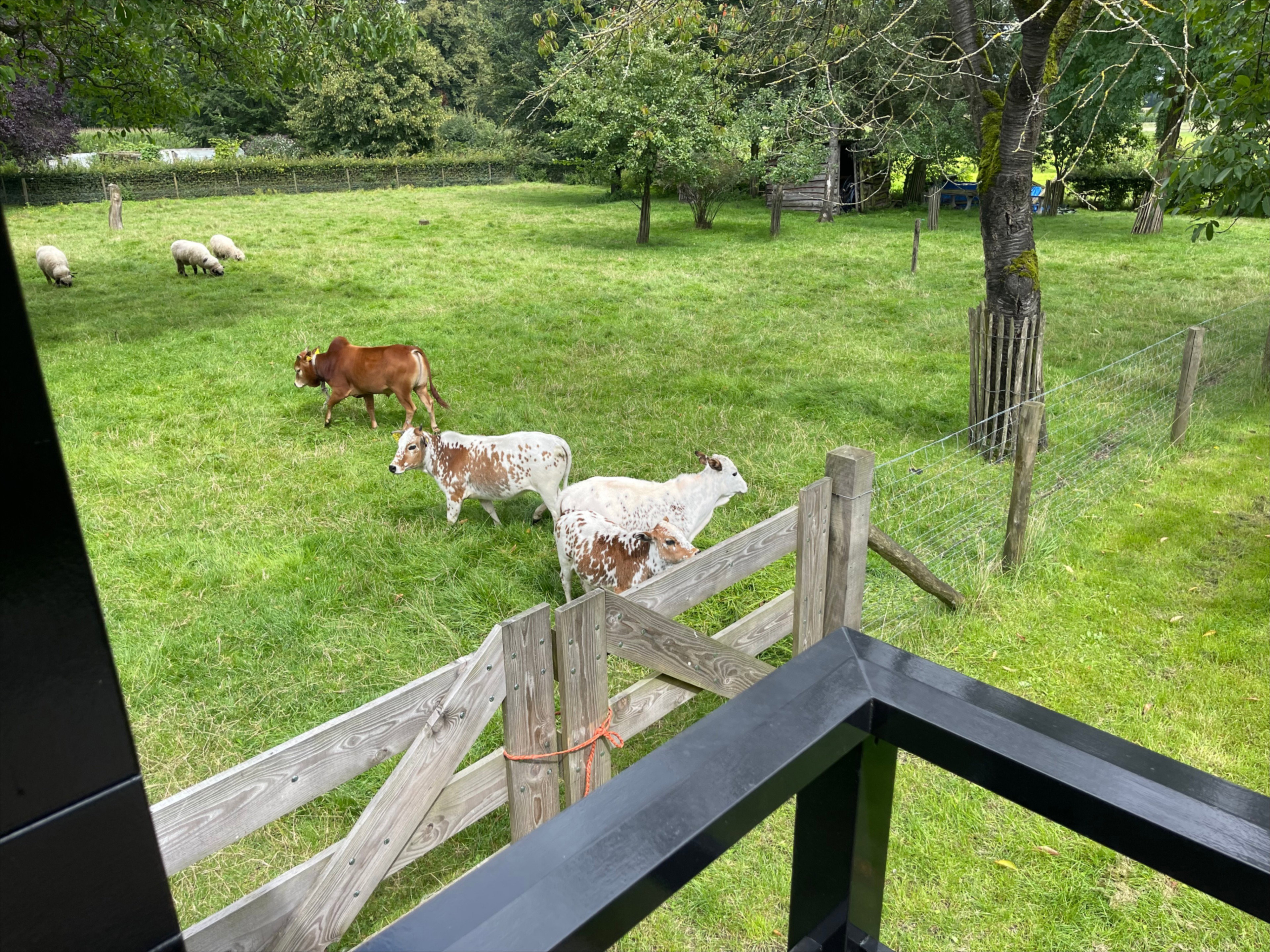 Natuurhuisje in Lochem