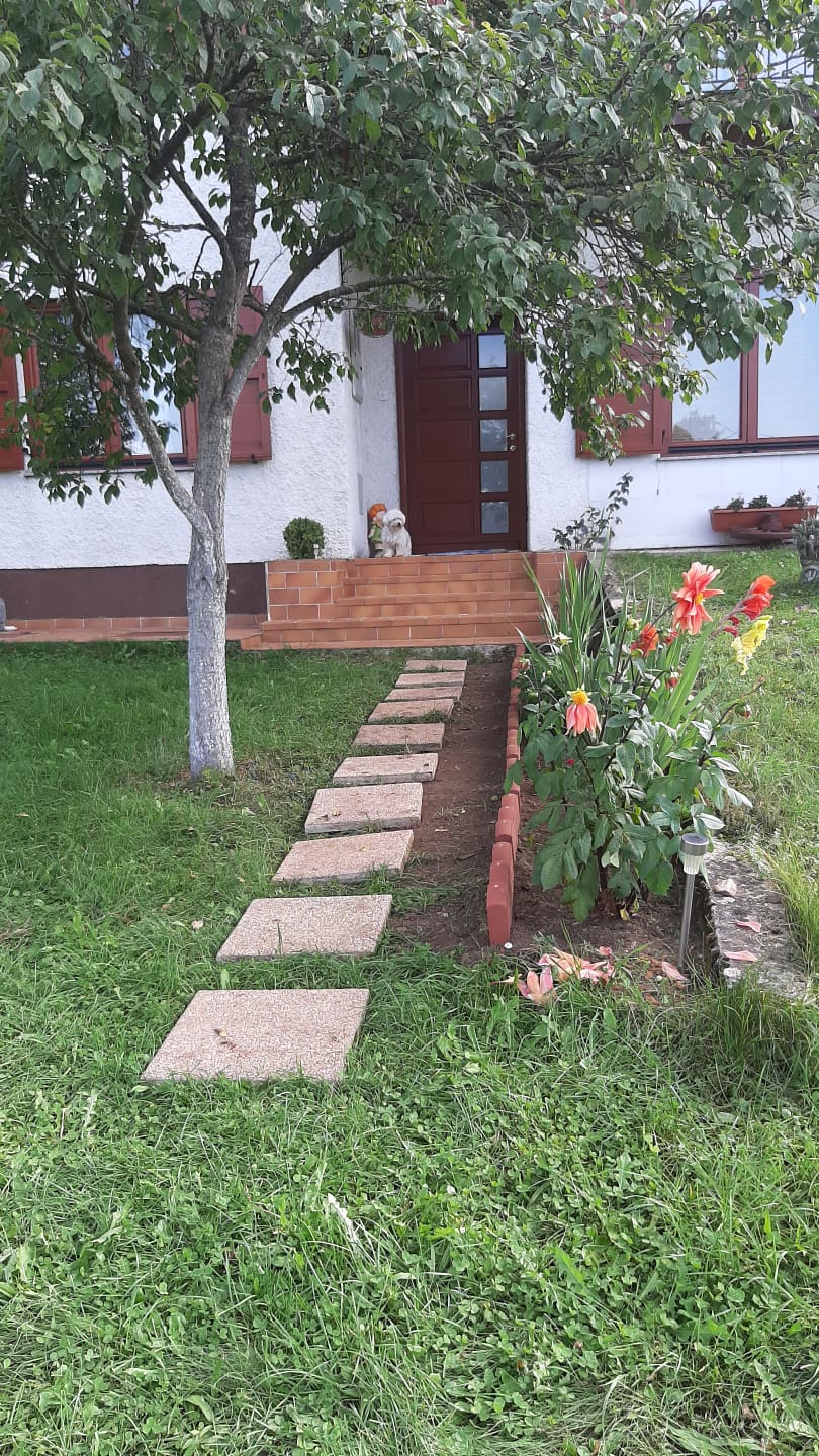 - image: 11