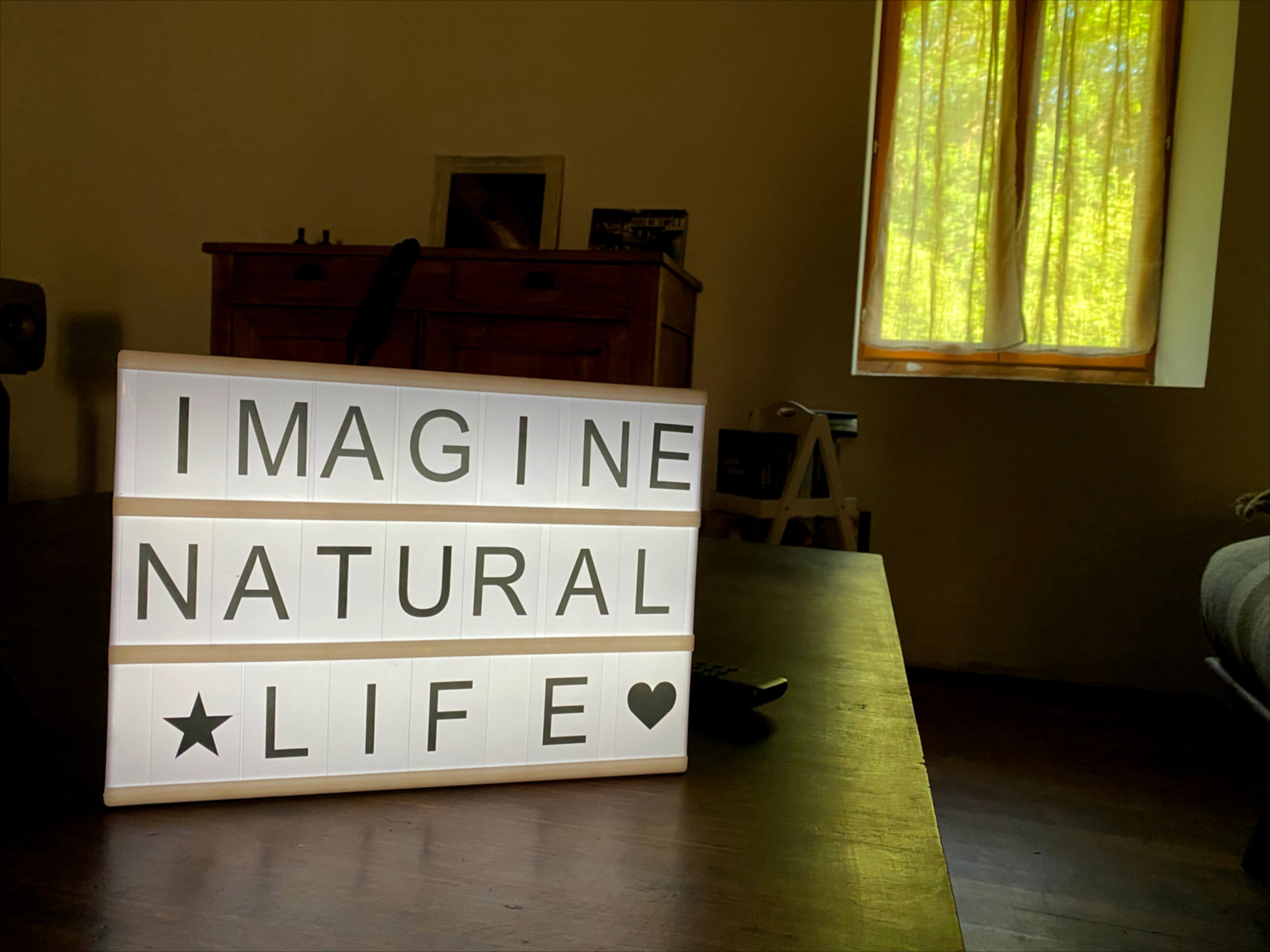 - image: 23