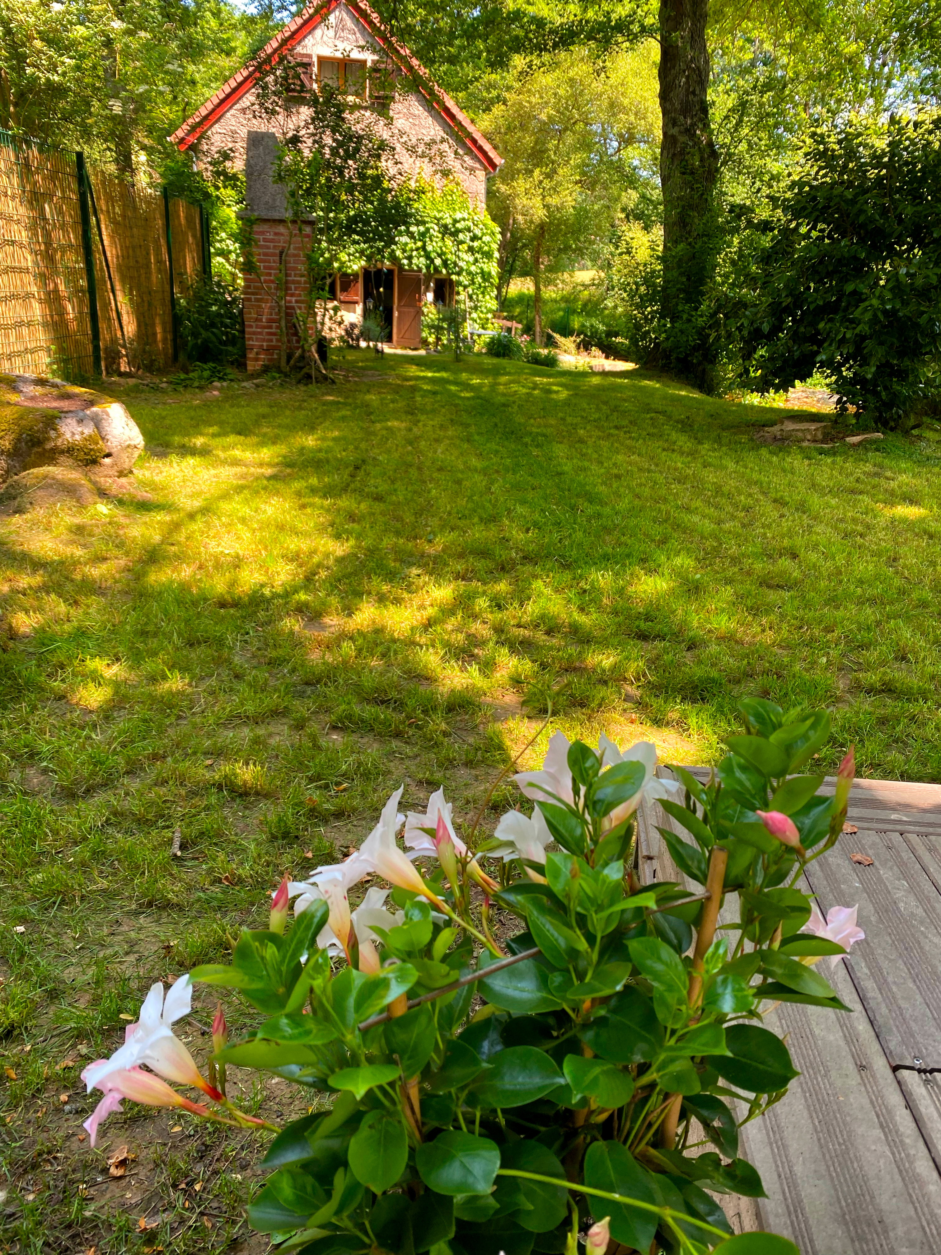 Maison nature à Brigueil le Chantre