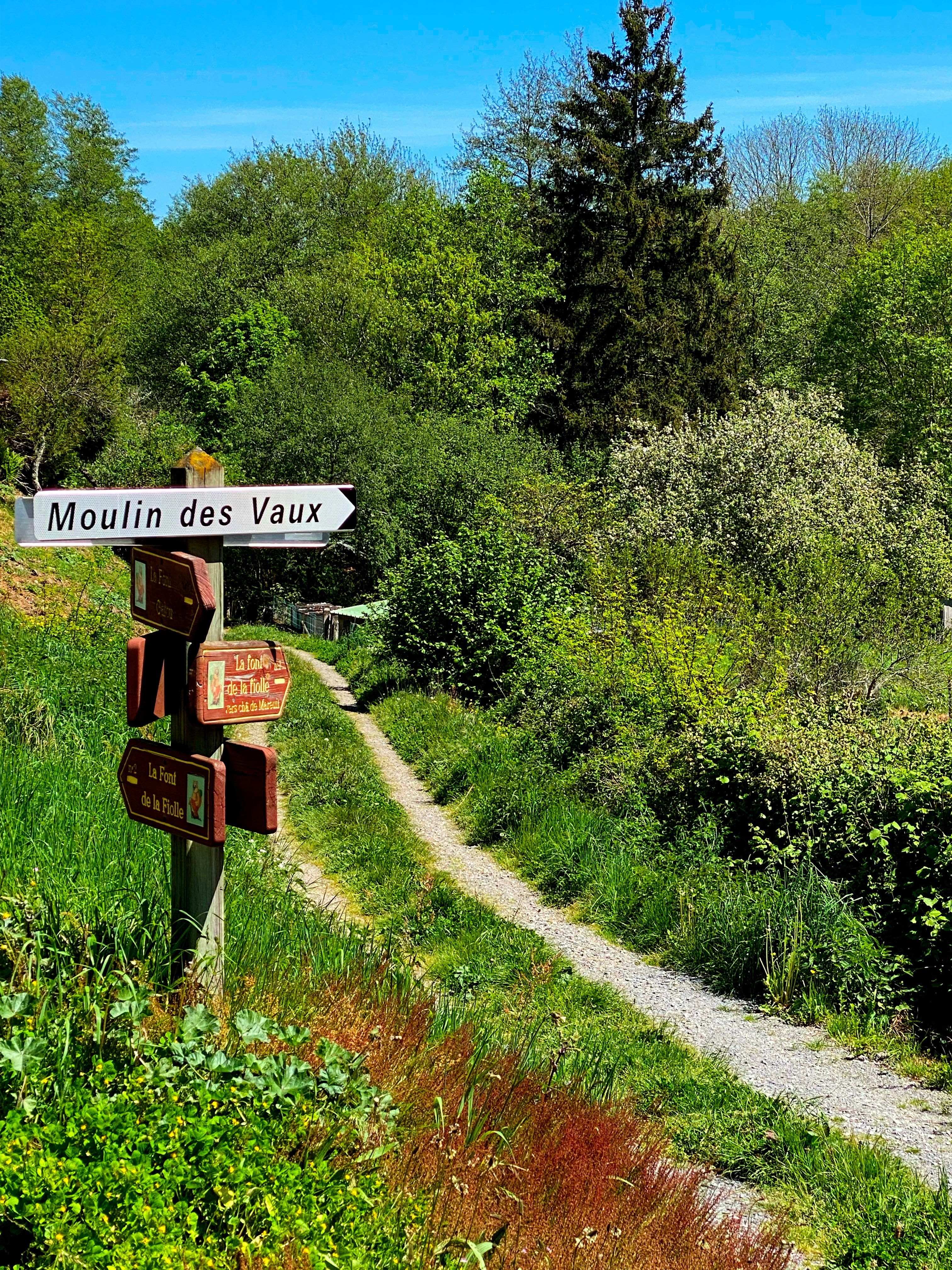 Maison nature à Brigueil le Chantre