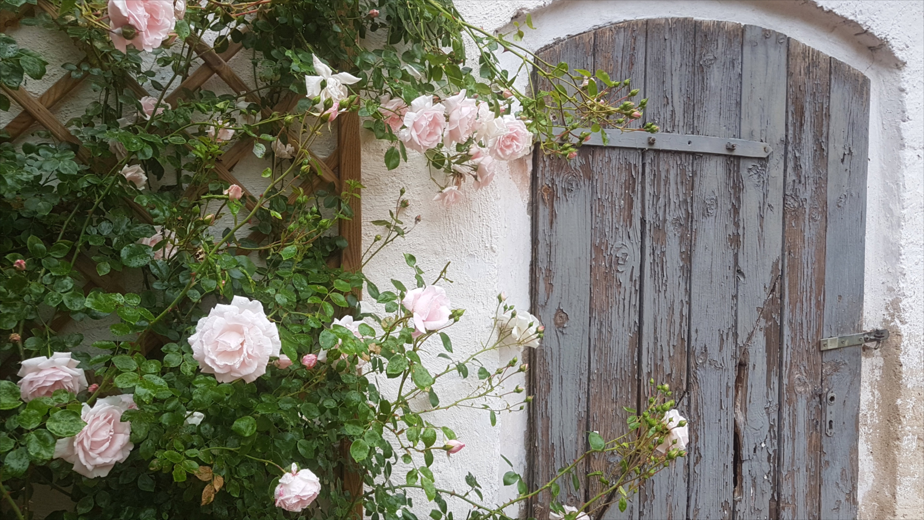 - image: 18