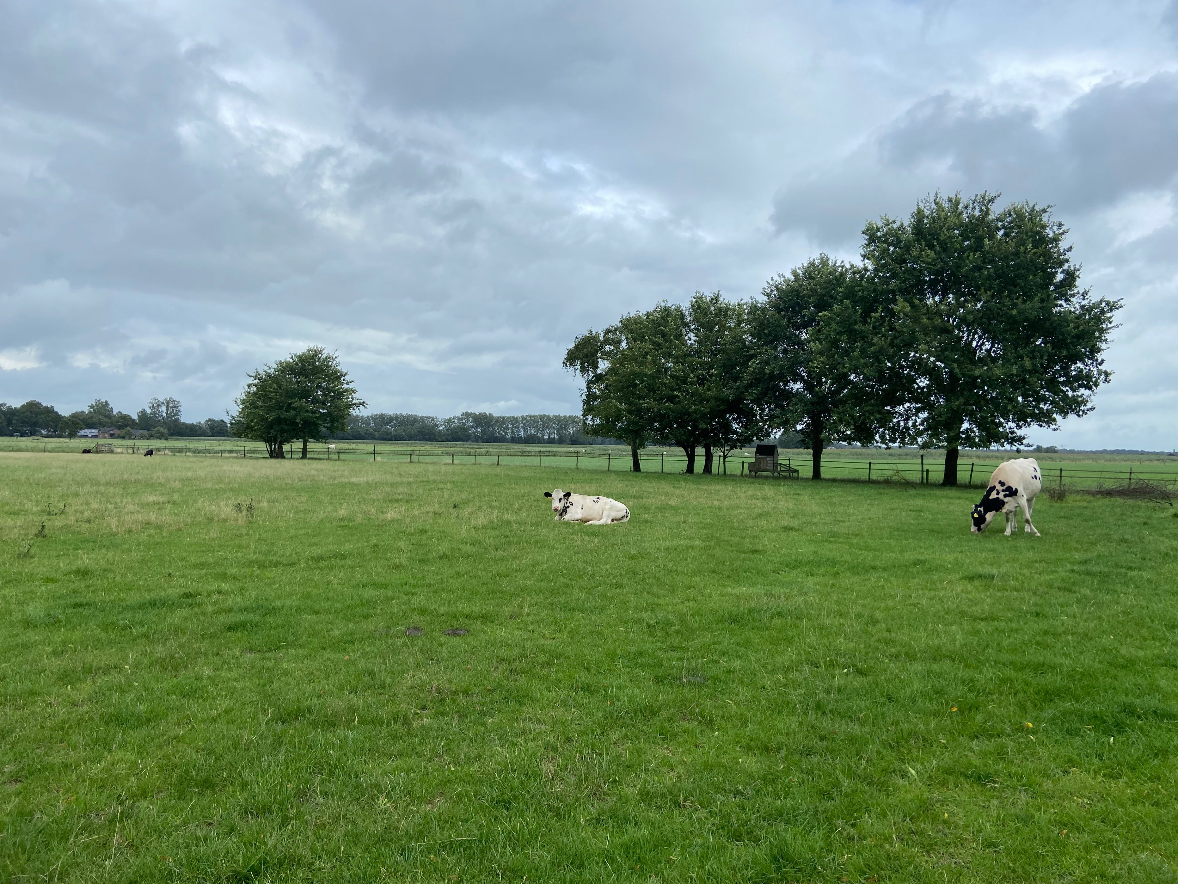 Natuurhuisje in Holten