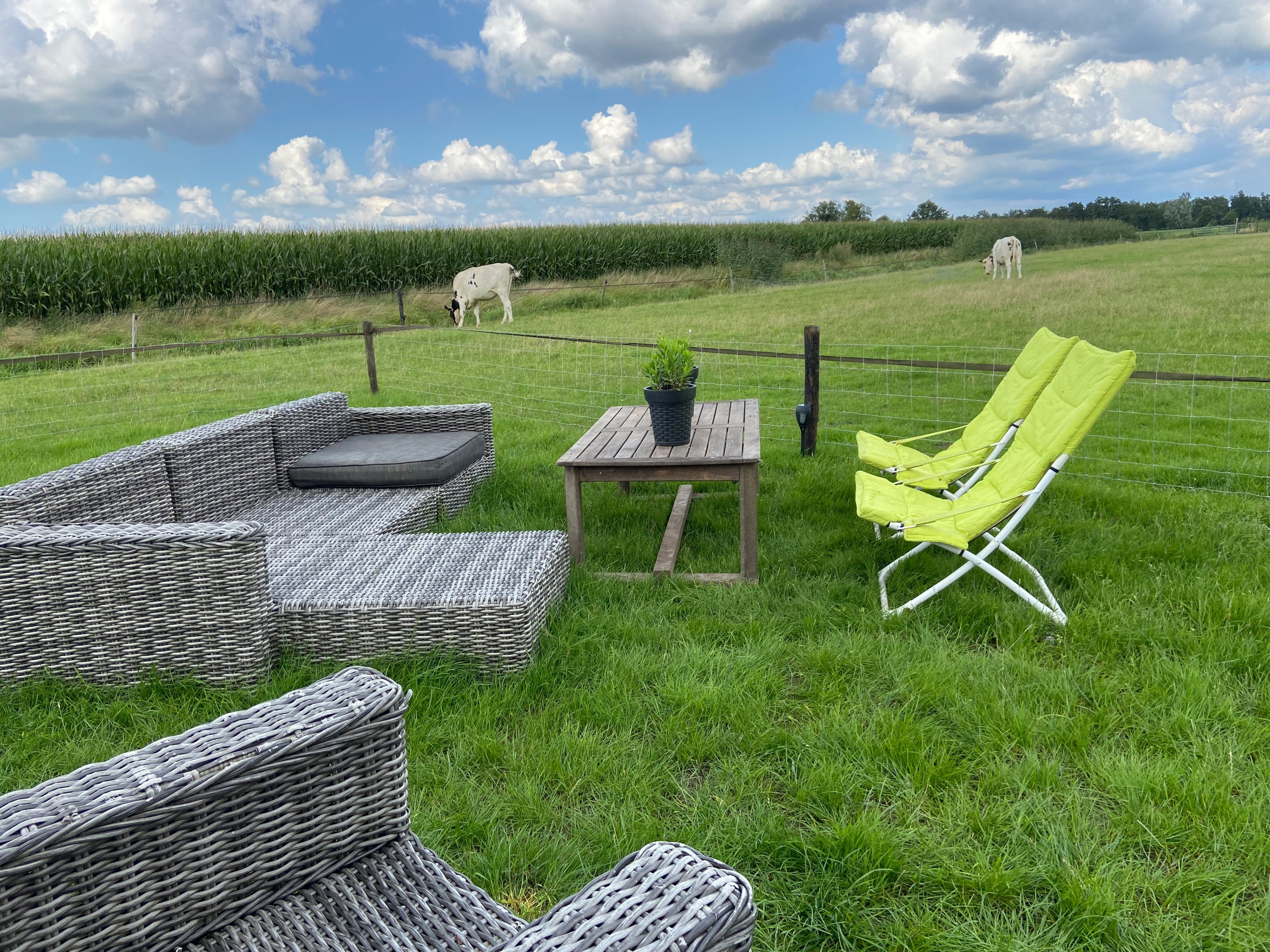 Natuurhuisje in Holten
