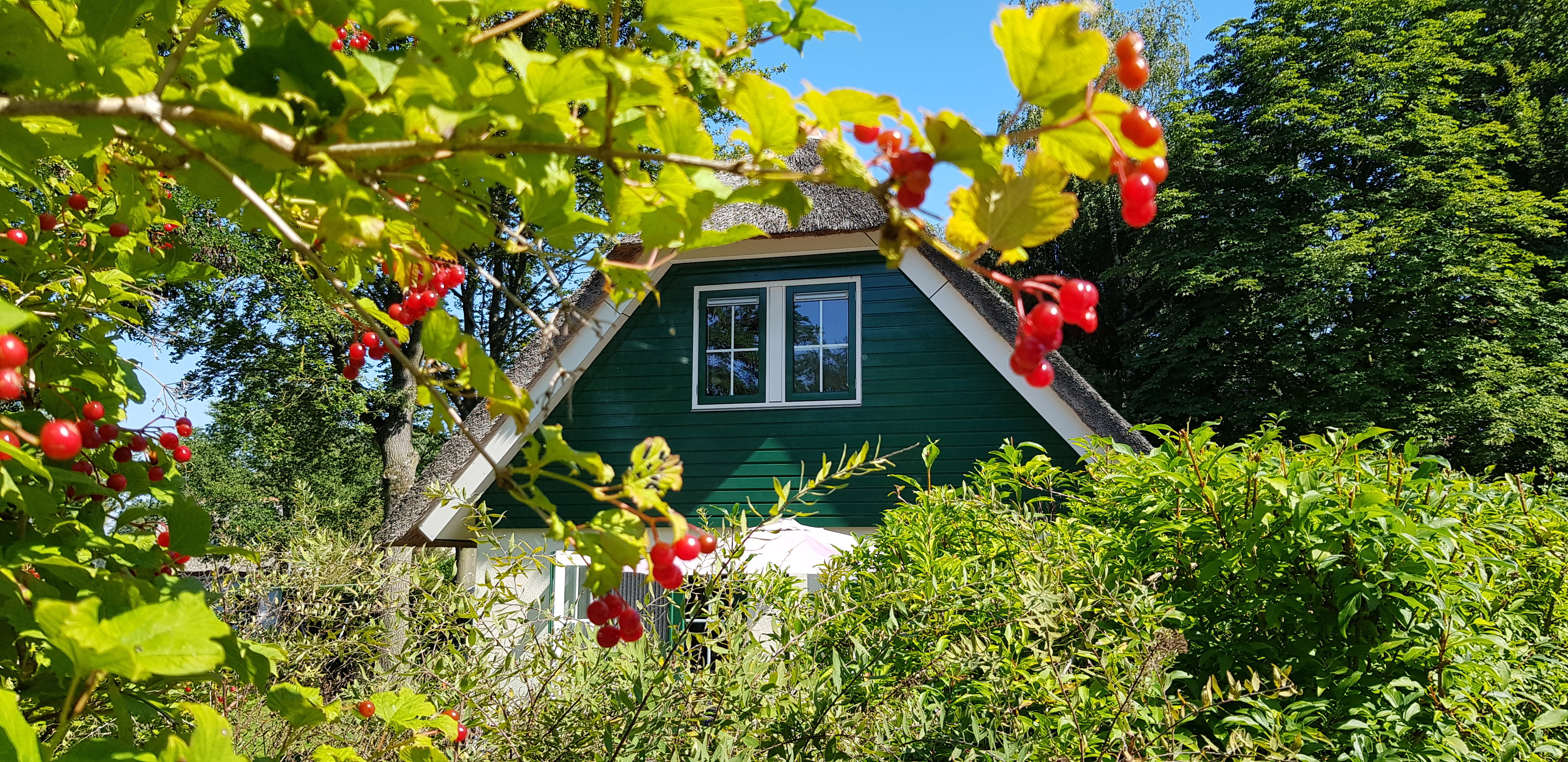 Maison nature à Heeten