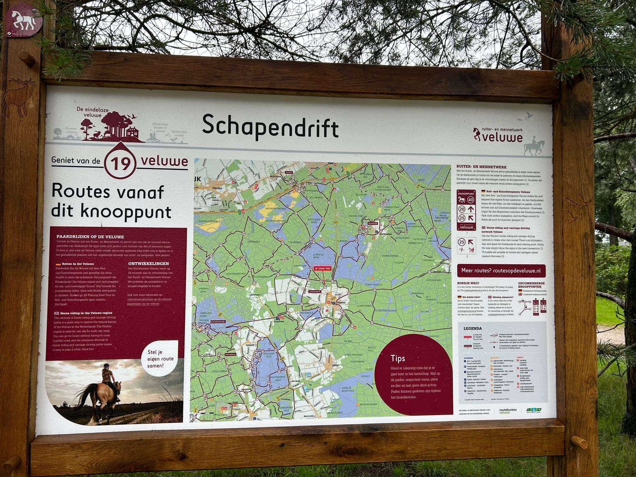 - image: 26