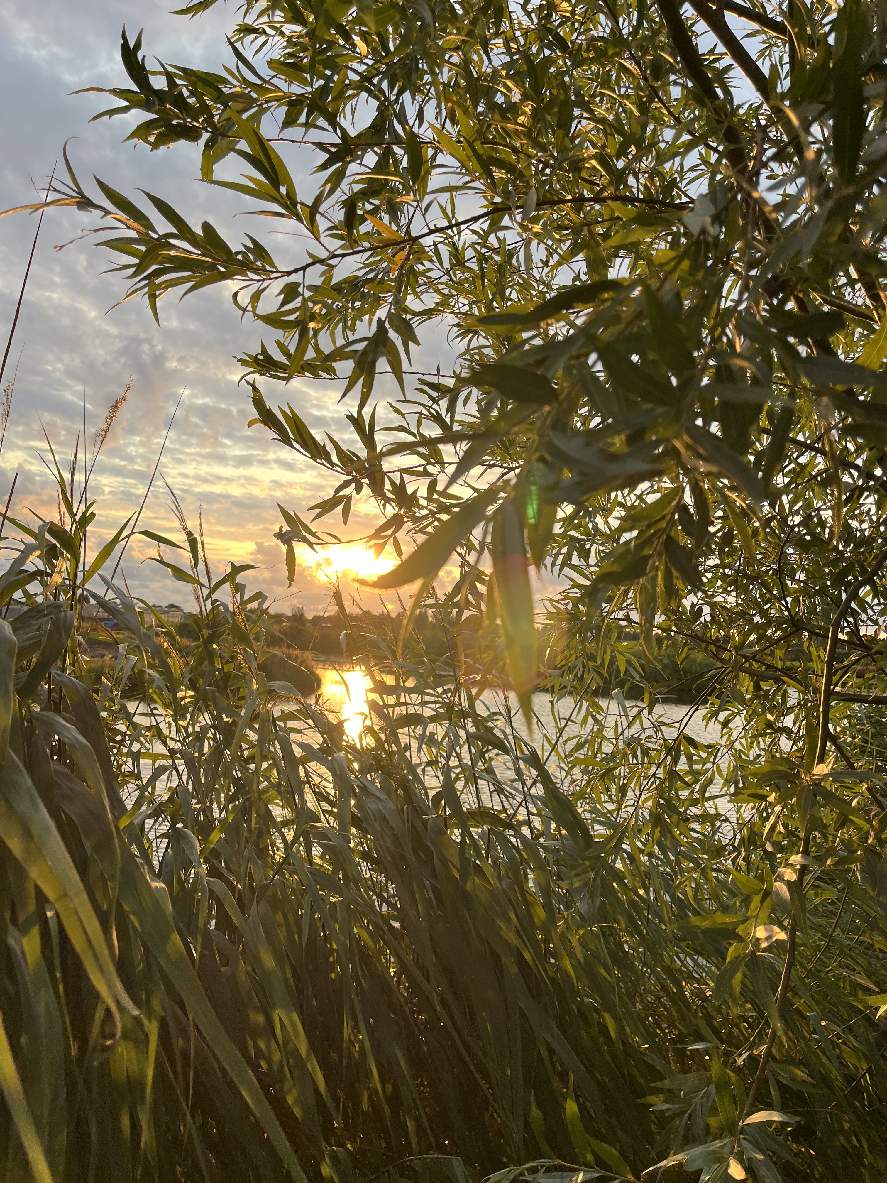 Natuurhuisje in Reeuwijk