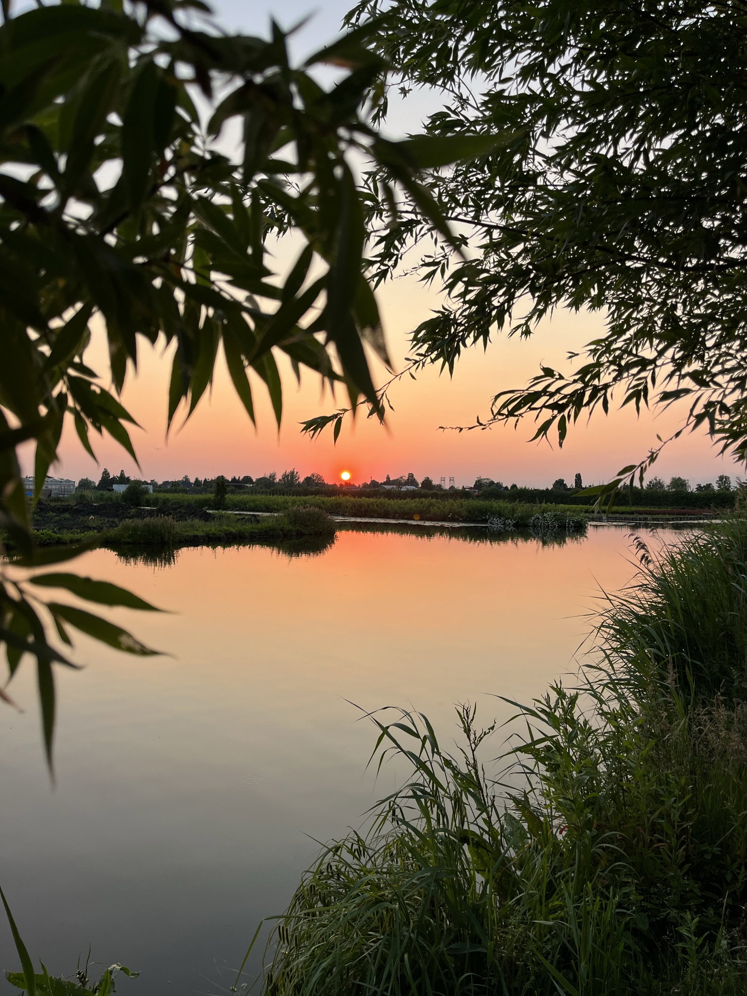 Natuurhuisje in Reeuwijk