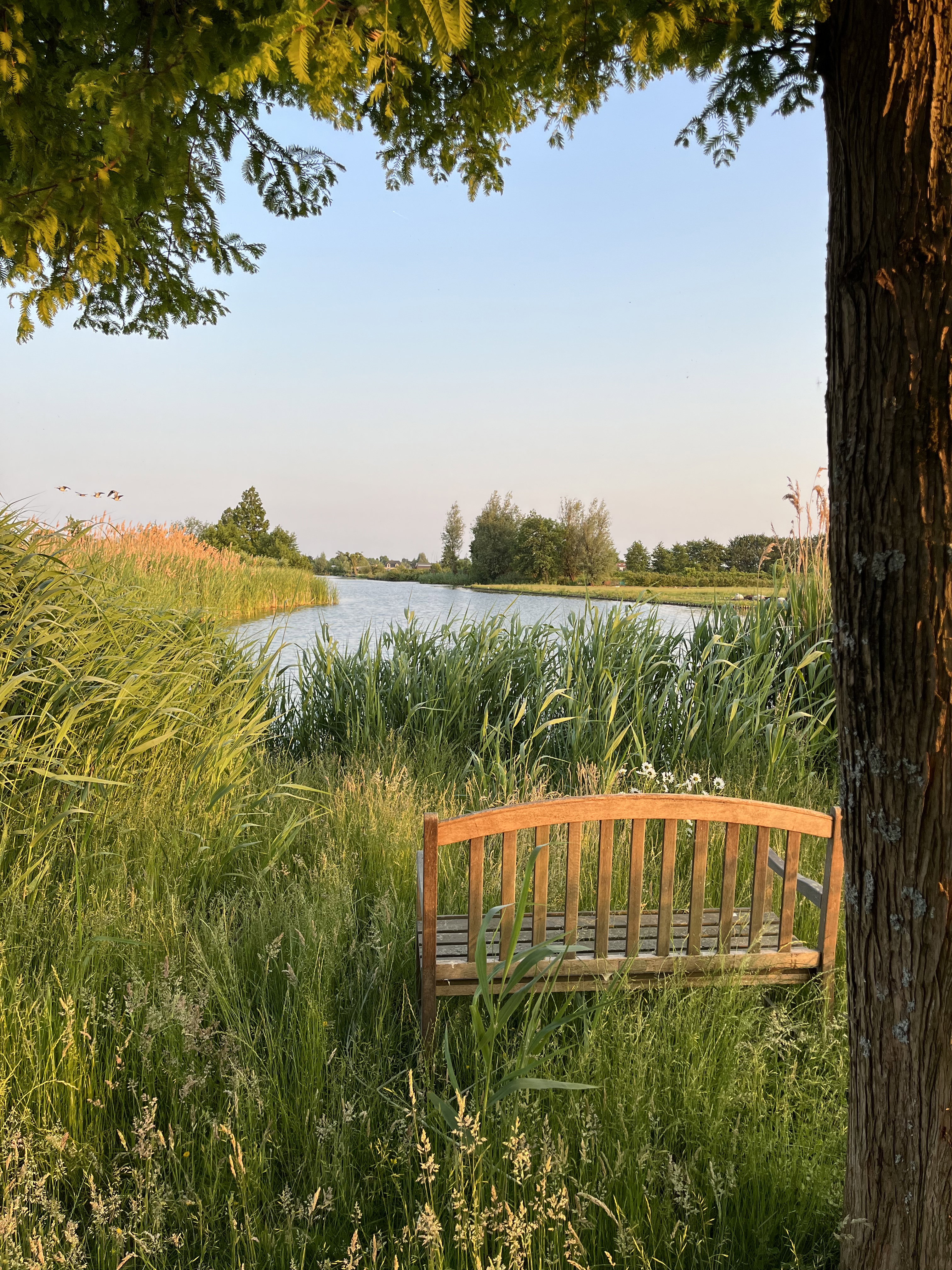 Natuurhuisje in Reeuwijk