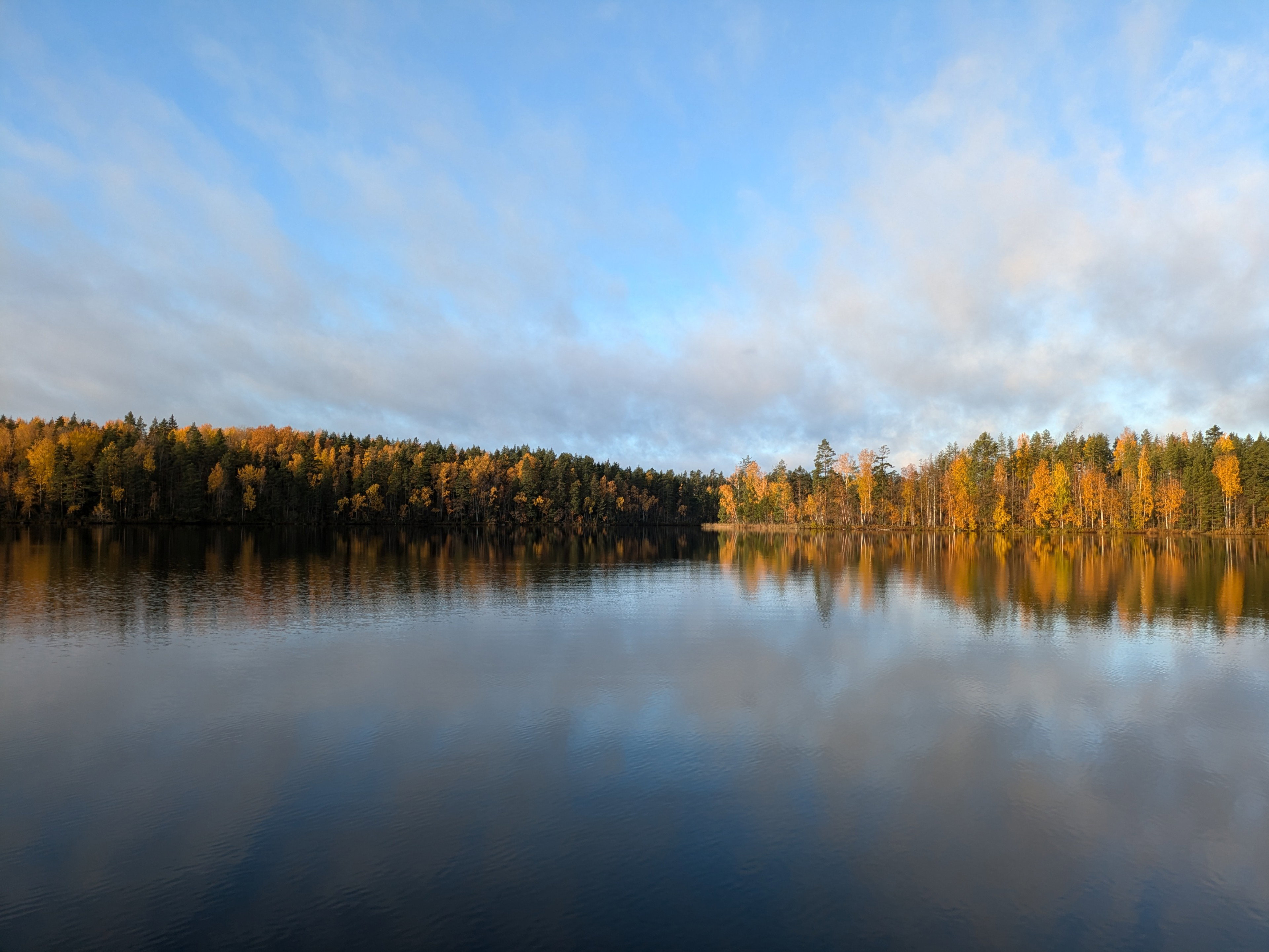 - image: 10