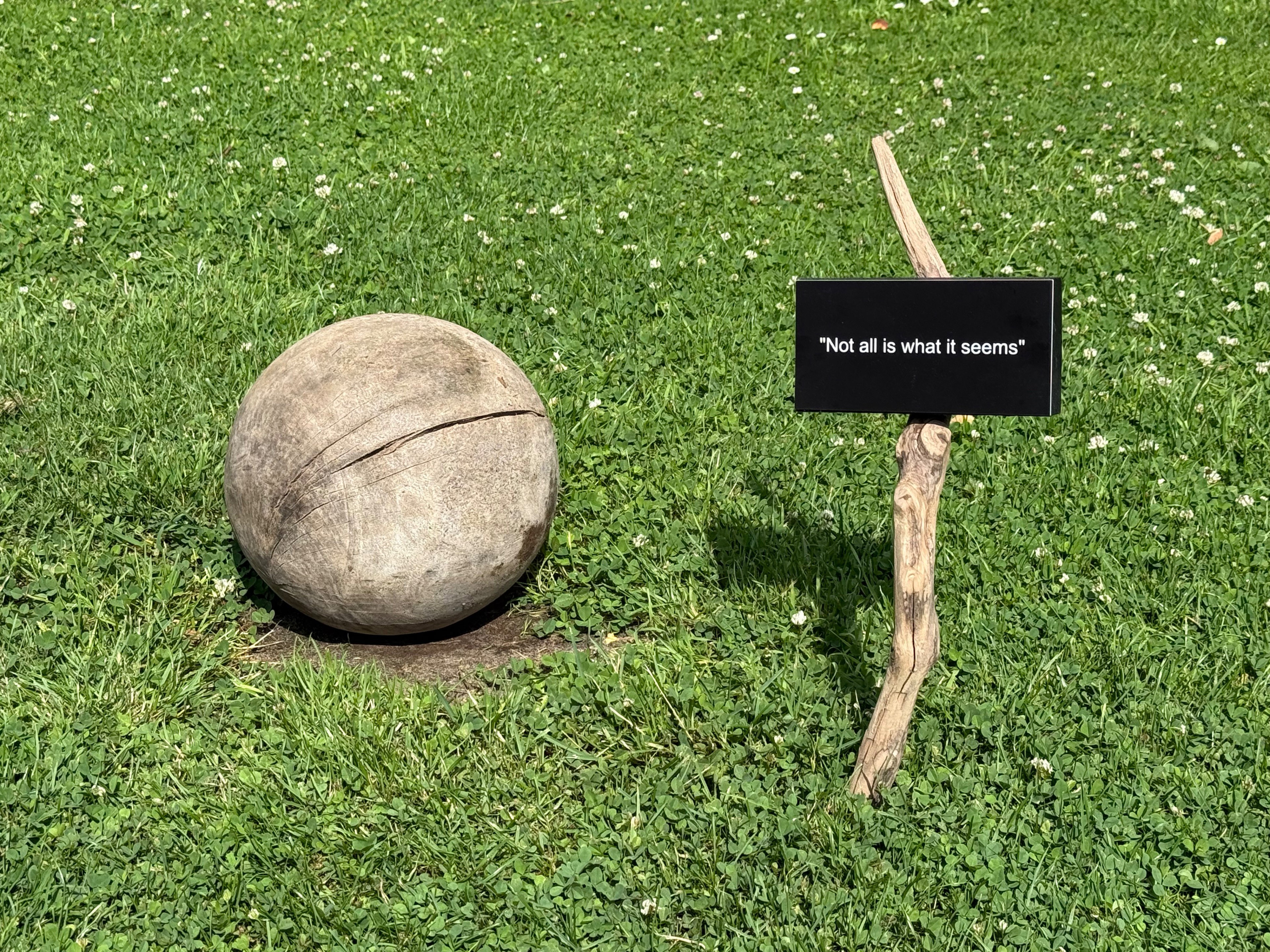 - image: 11