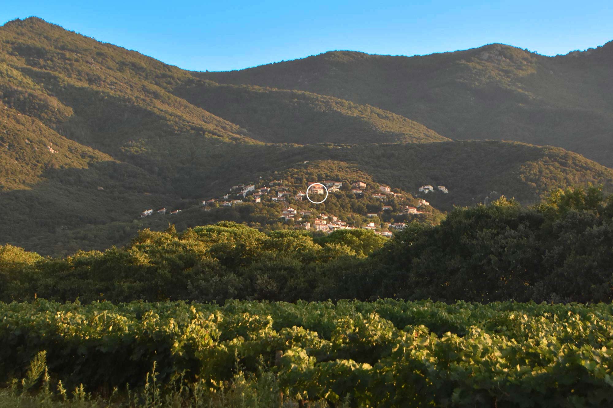 Casa nella natura a Laroque-des-Albères