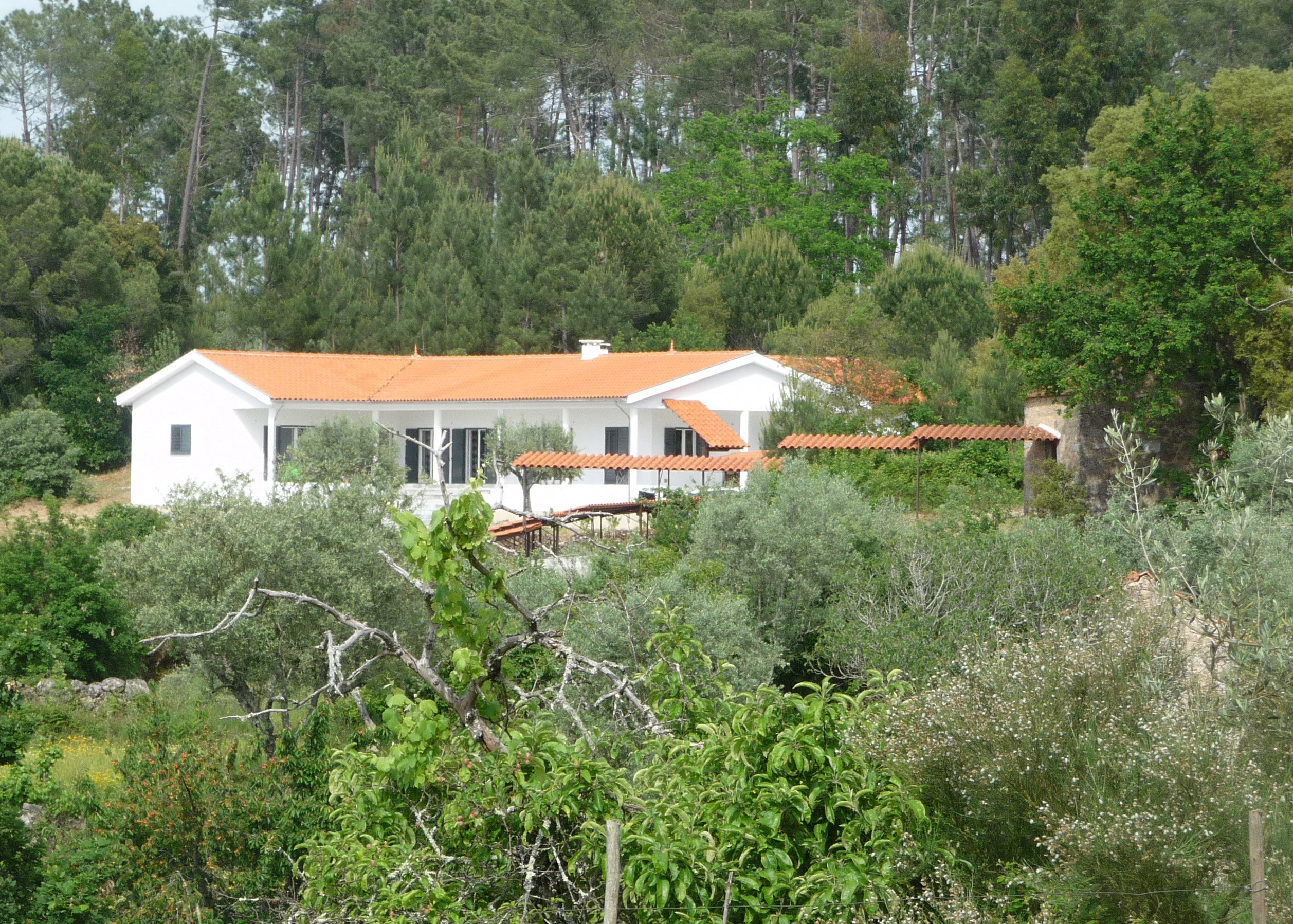 - image: 1