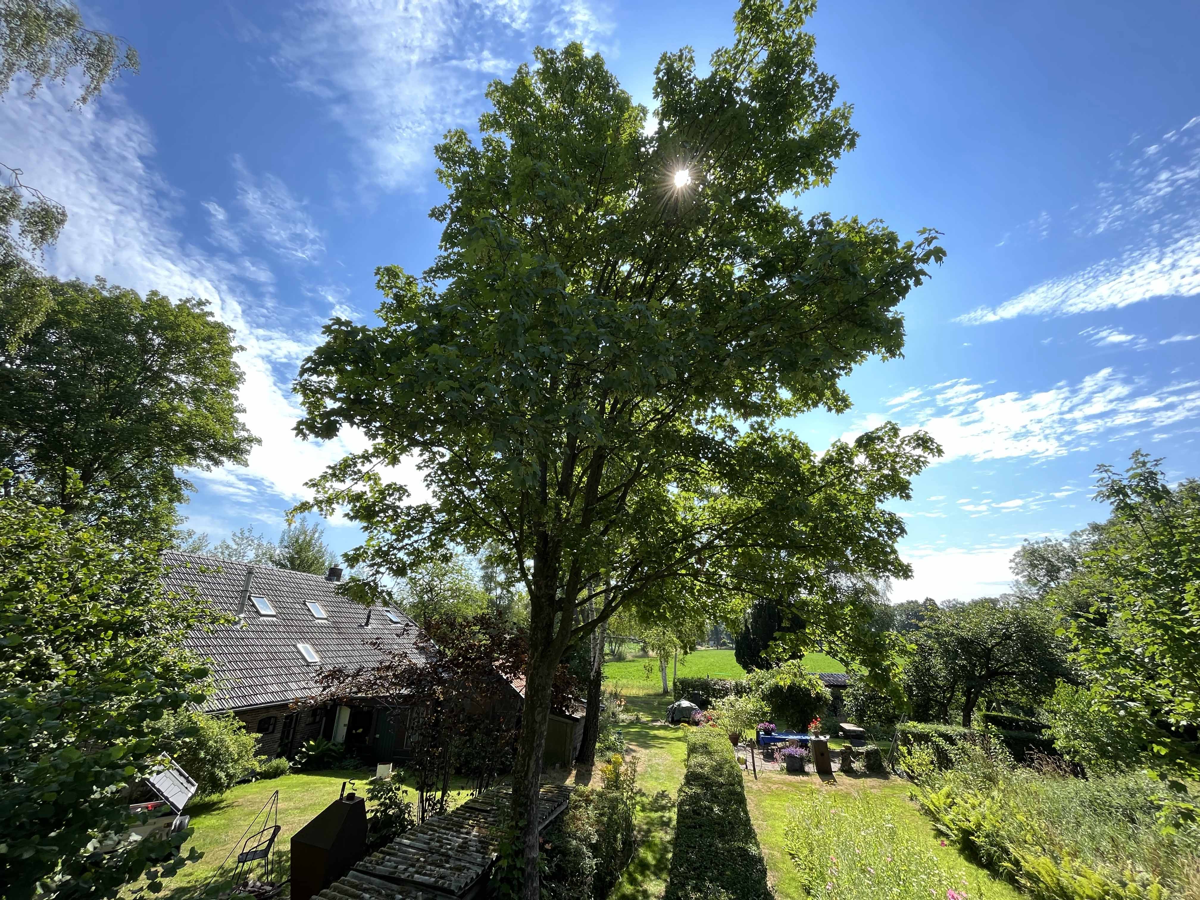 Naturhäuschen in Laren