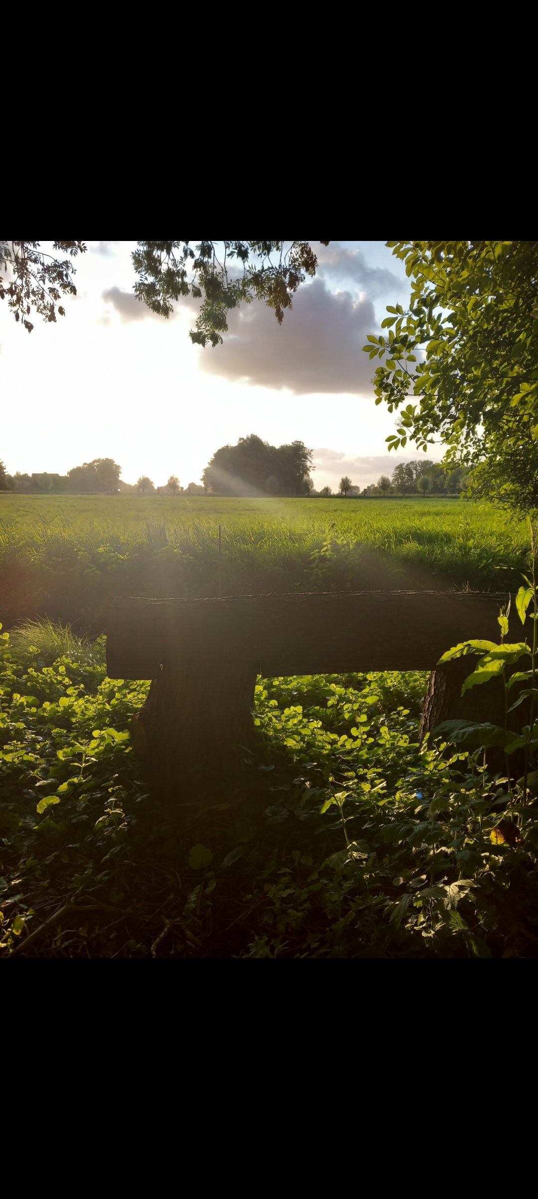 Naturhäuschen in Nijkerk