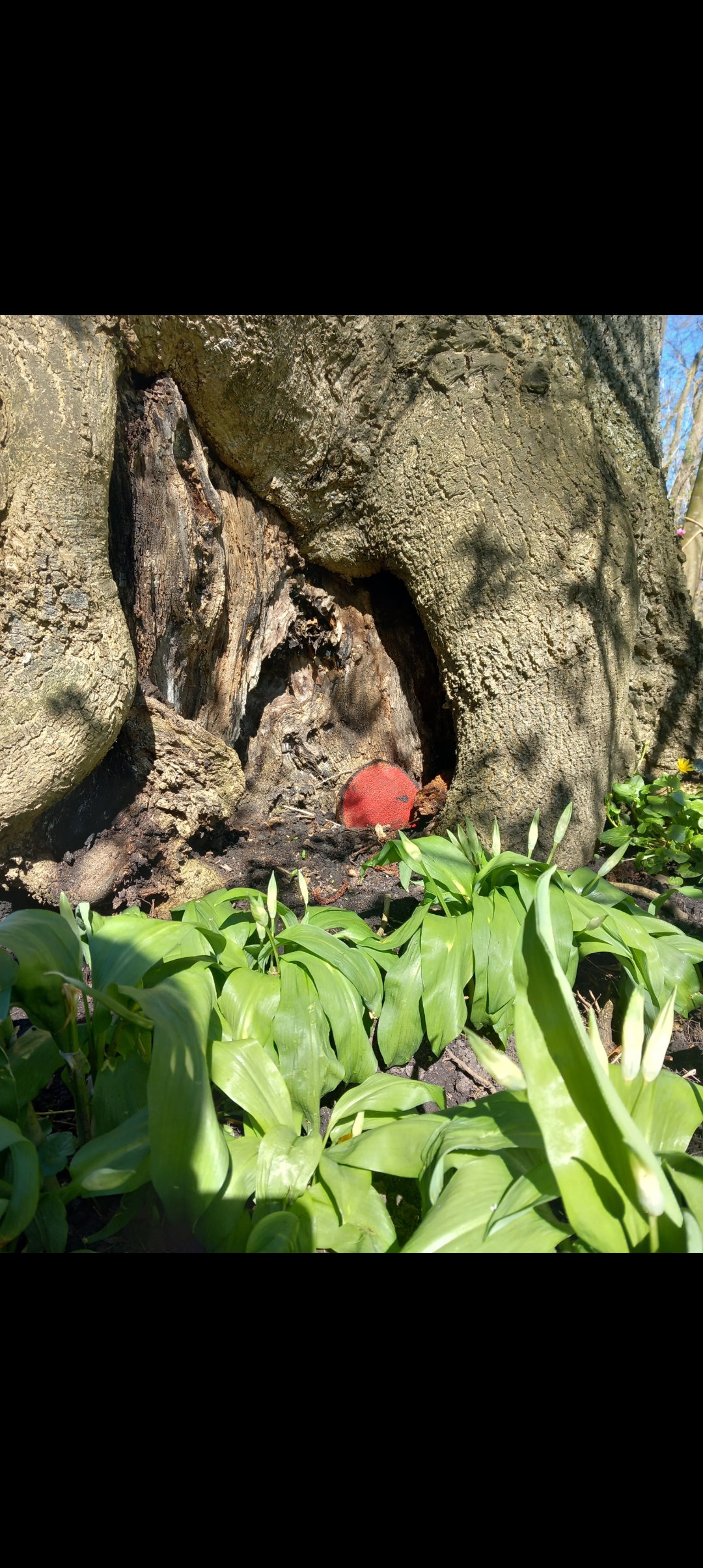Naturhäuschen in Nijkerk