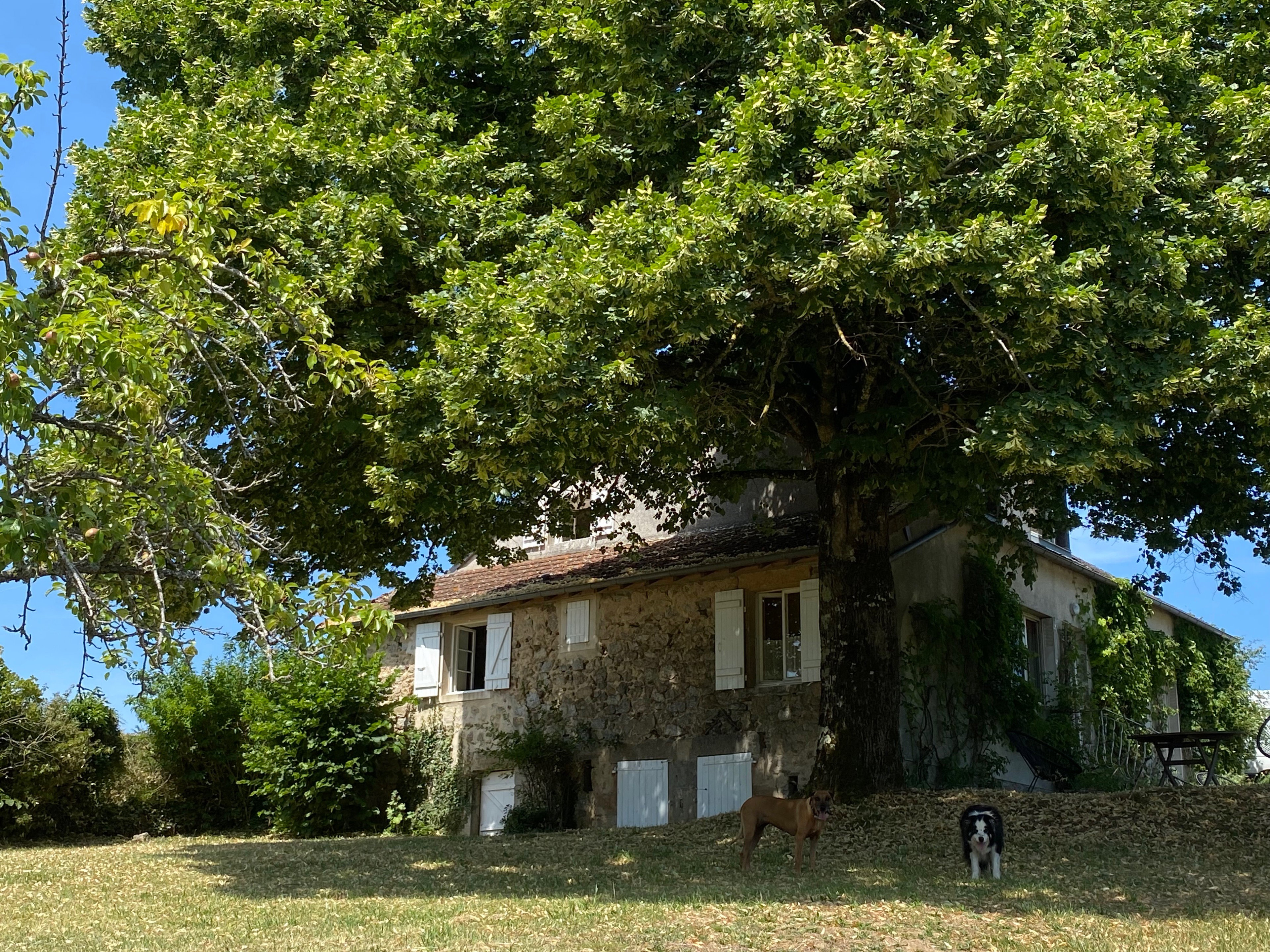 Maison nature à Saint Leger de Fougeret