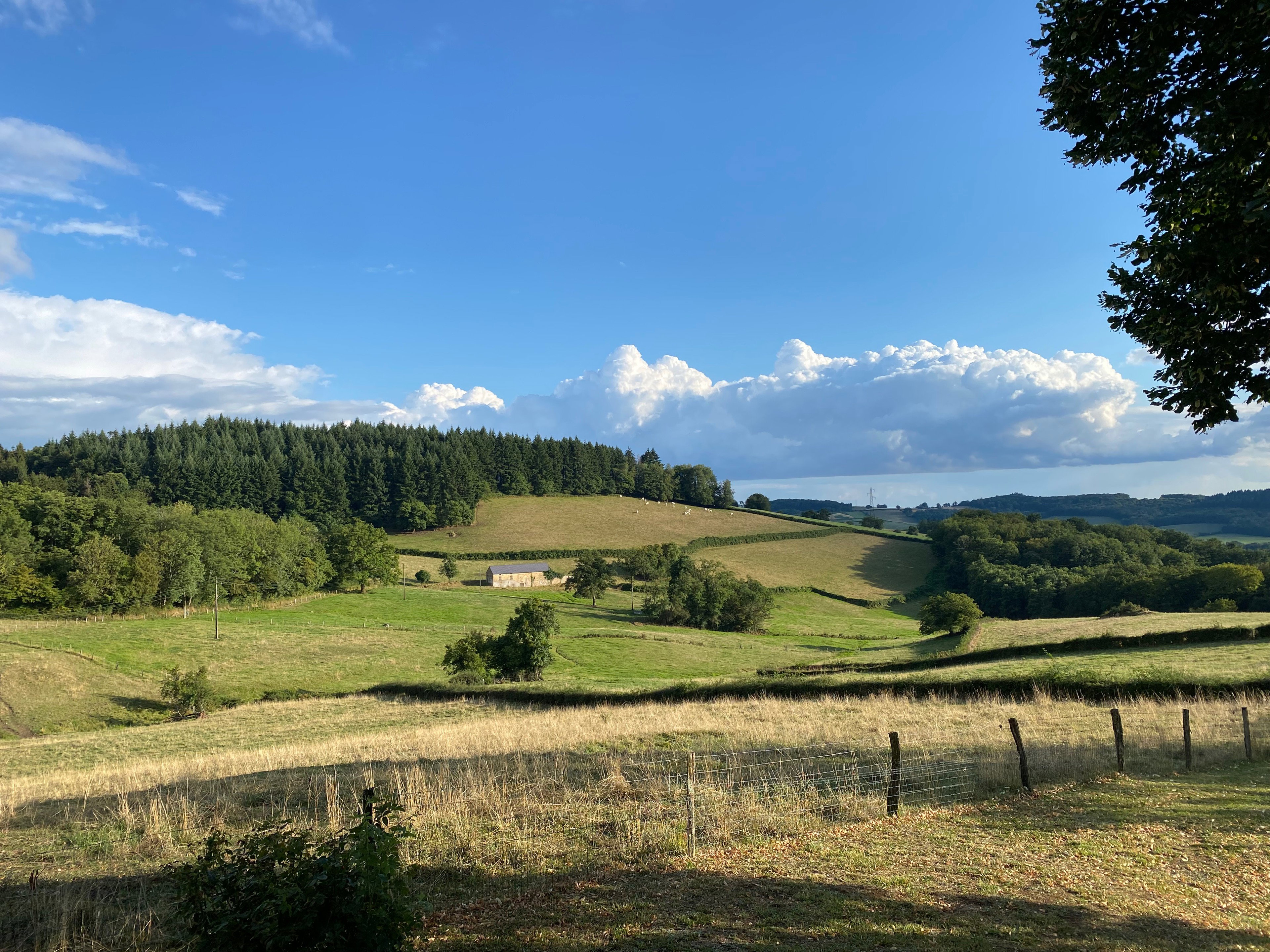 Maison nature à Saint Leger de Fougeret