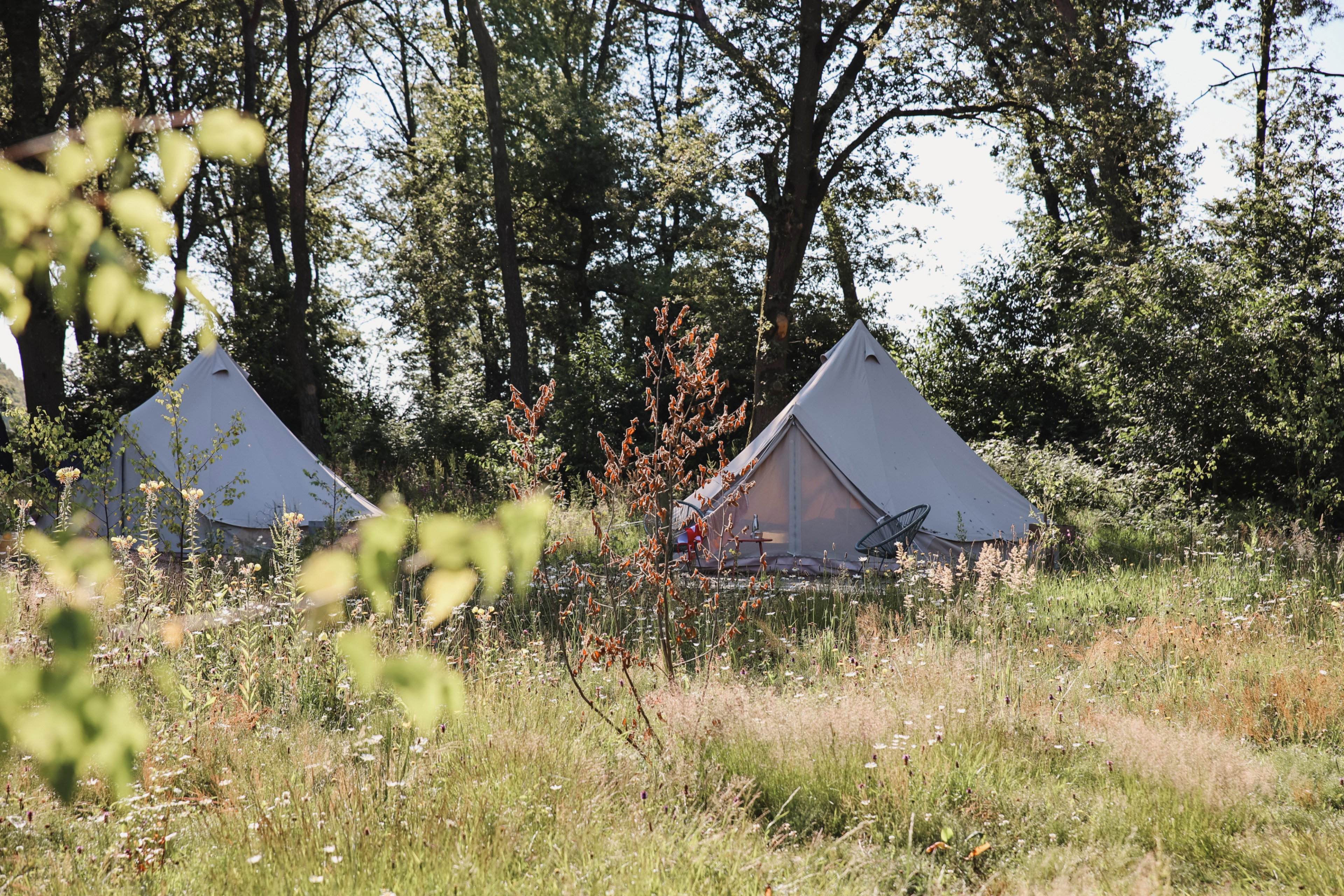 Maison nature à Lierop