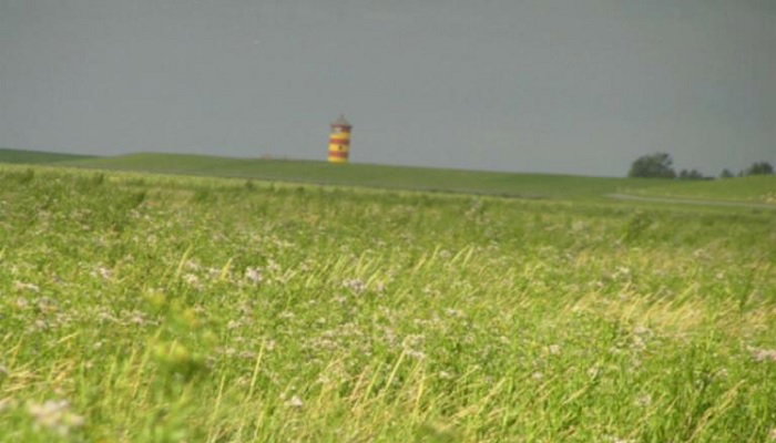- image: 22