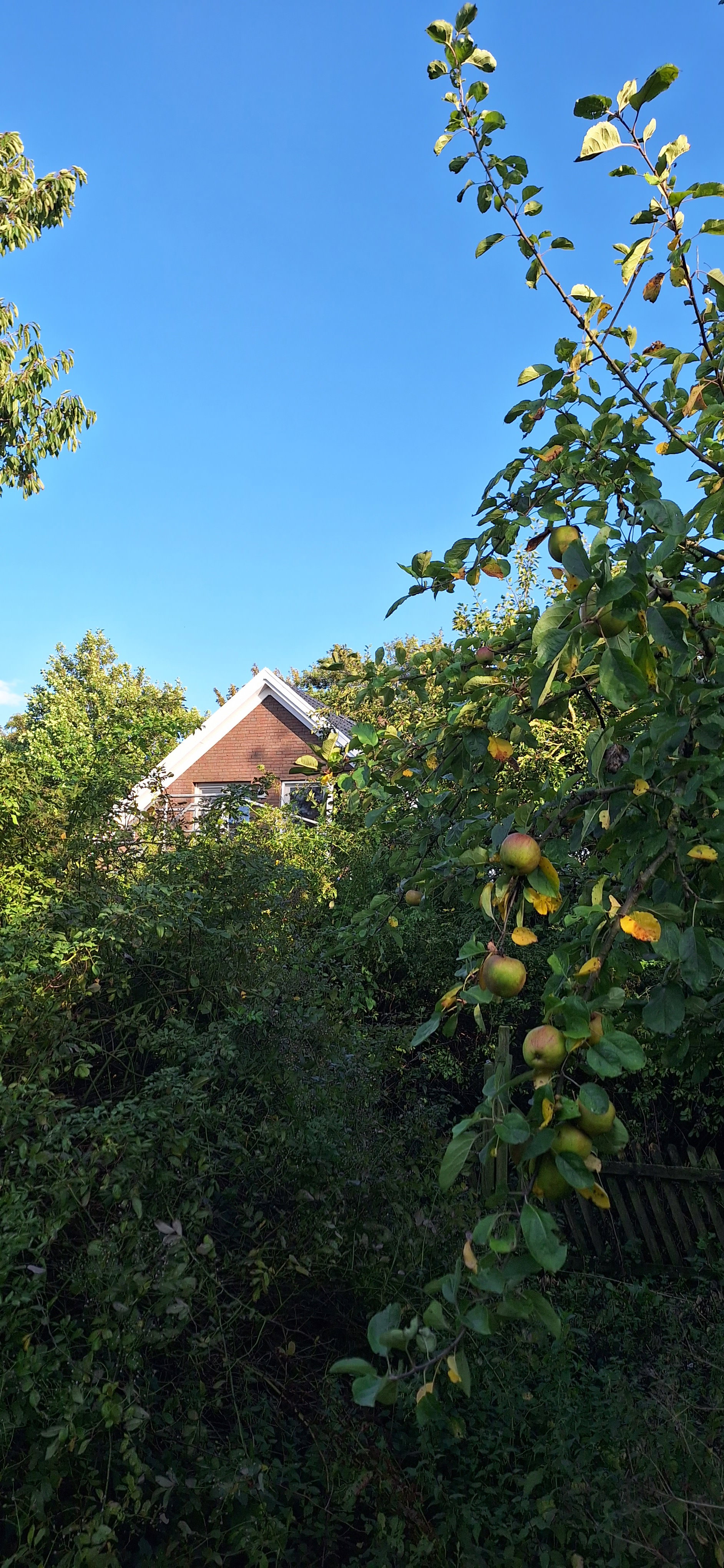 Naturhäuschen in Krummhörn