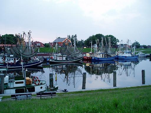 - image: 17