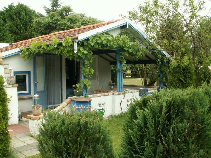 - image: 12