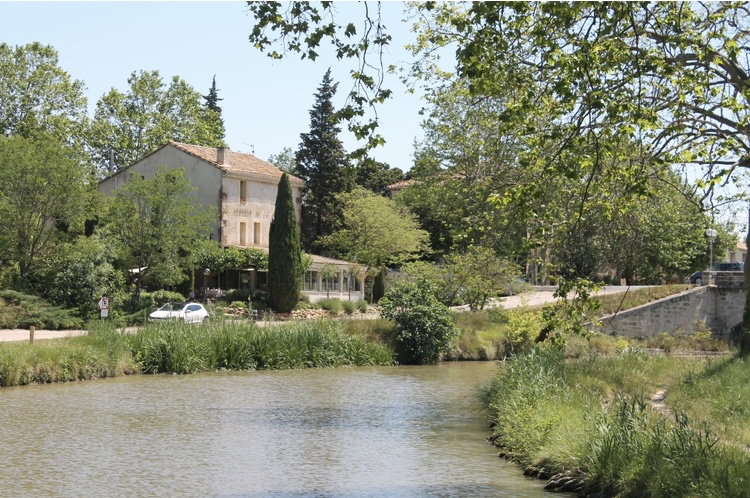 - image: 51