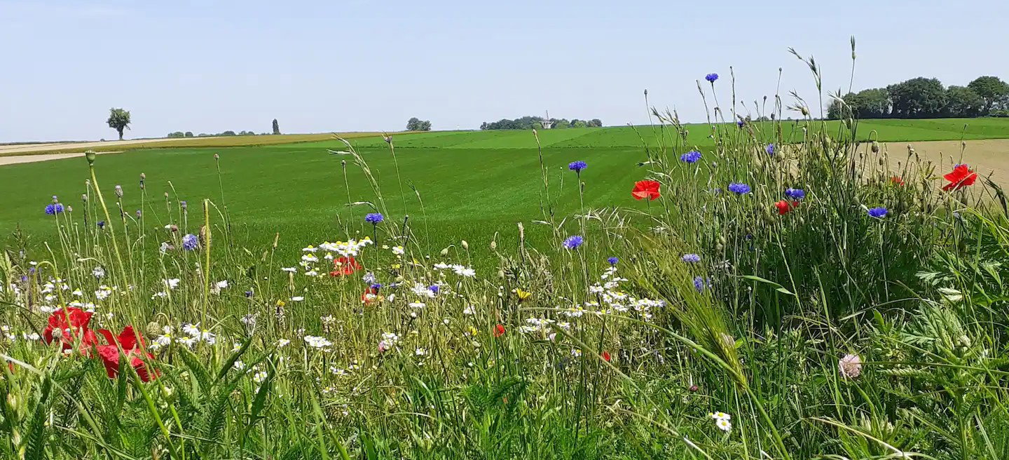 Natuurhuisje in Margraten