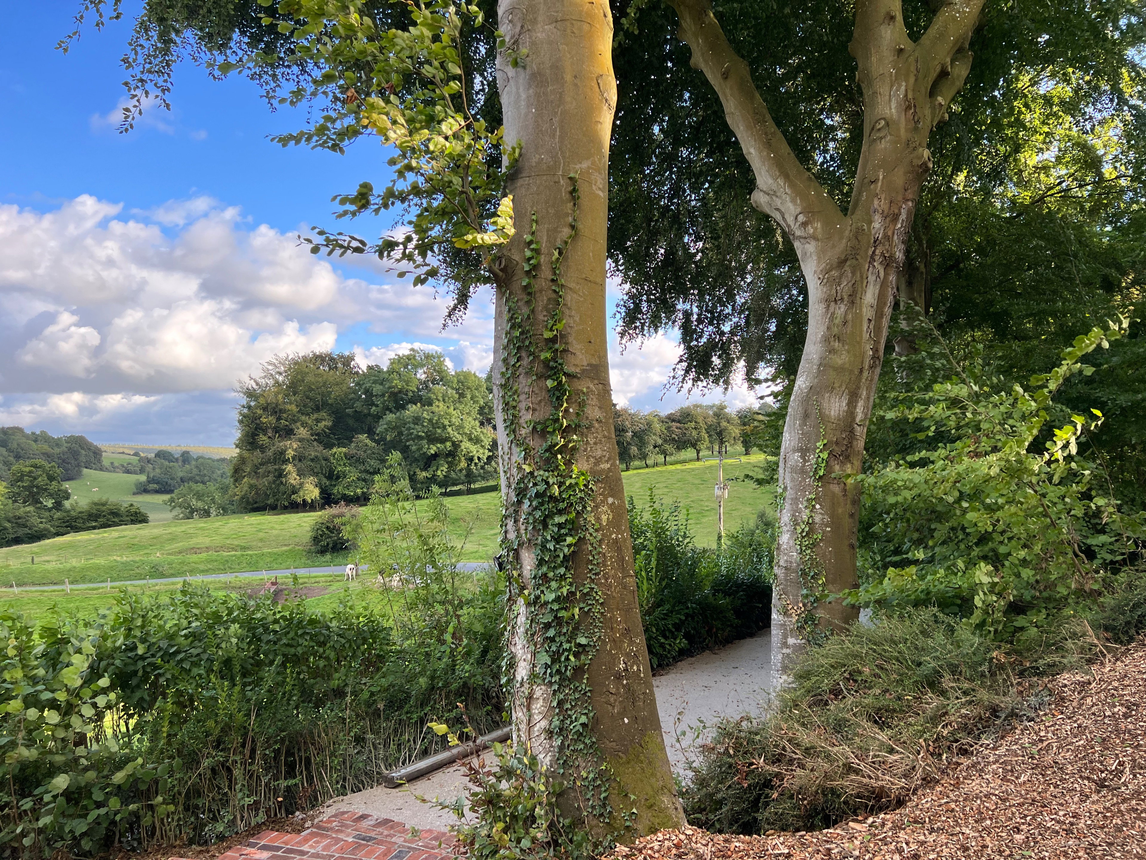 Natuurhuisje in Ancourt