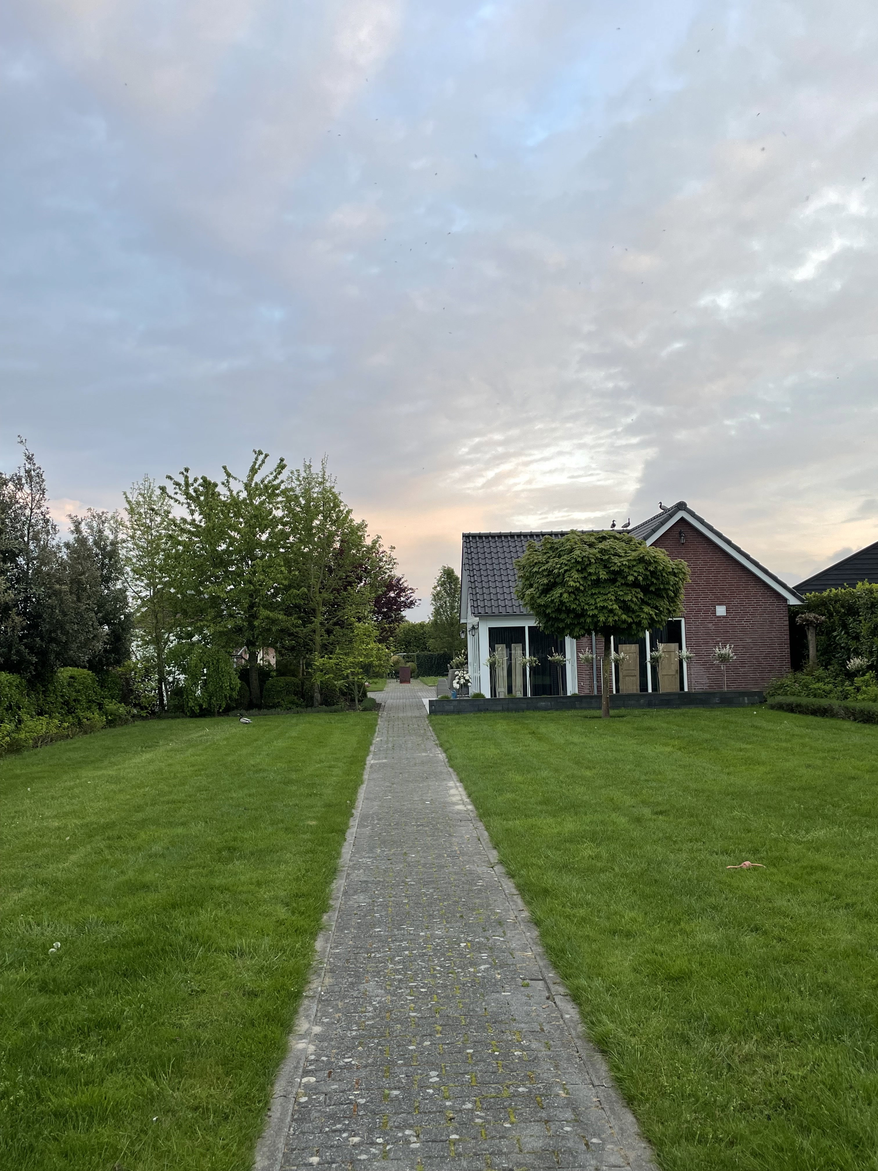 - image: 27