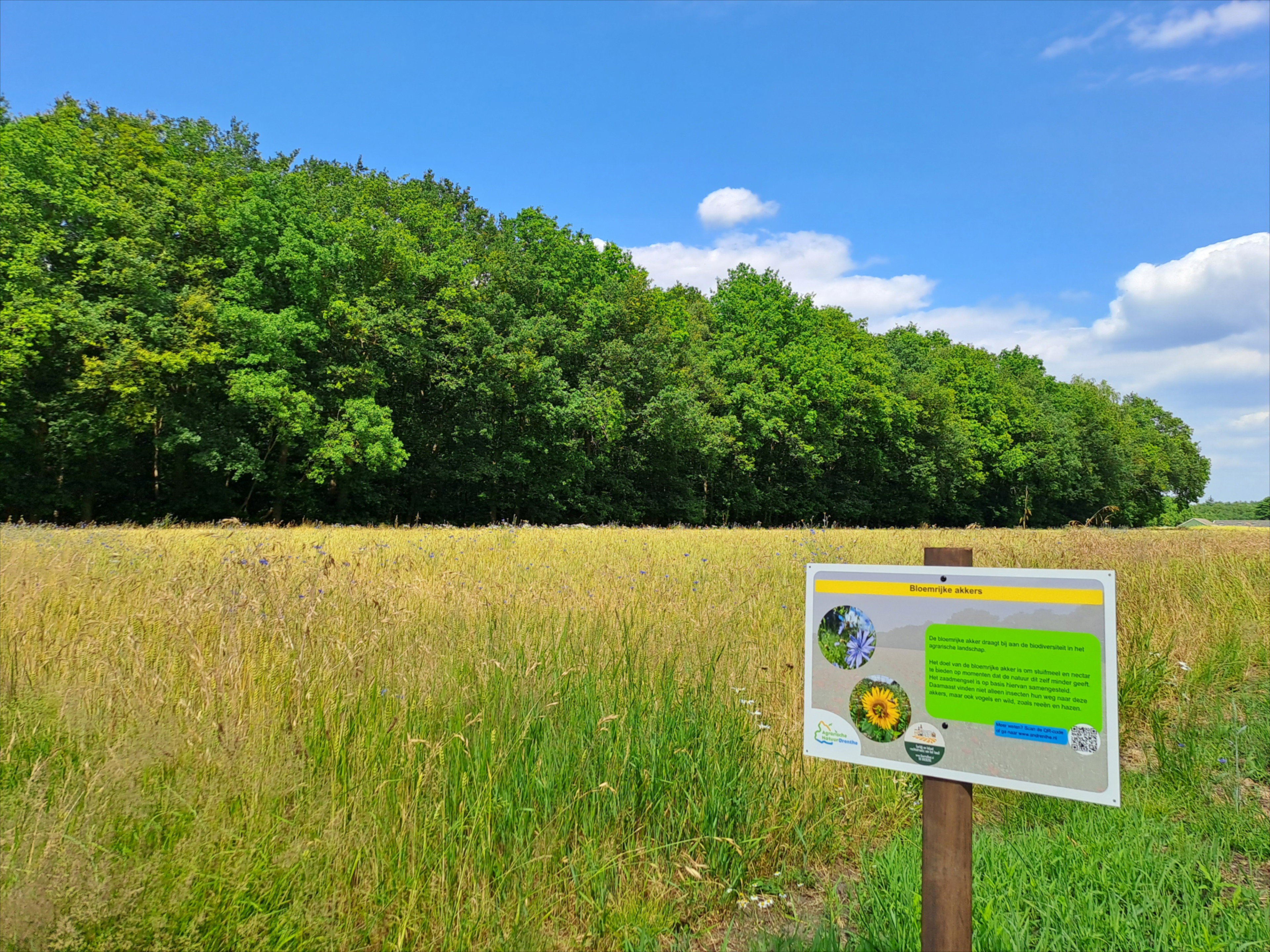 Naturhäuschen in Zuidwolde