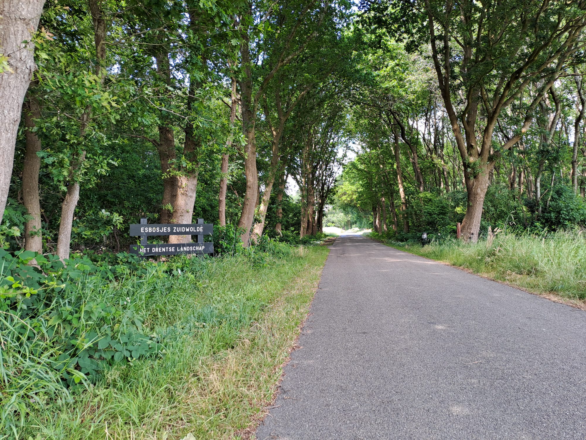 Naturhäuschen in Zuidwolde