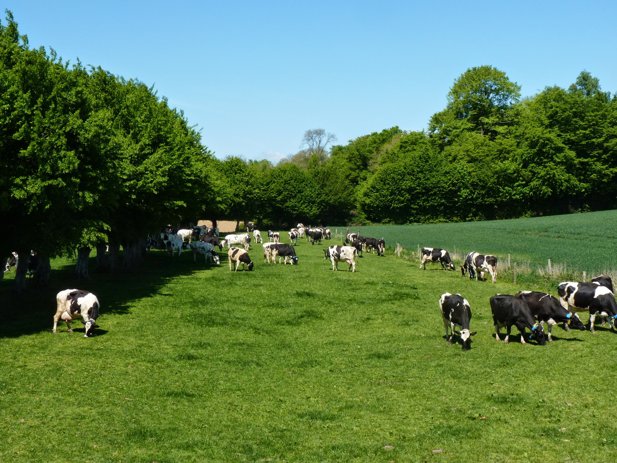 Natuurhuisje in Englancourt
