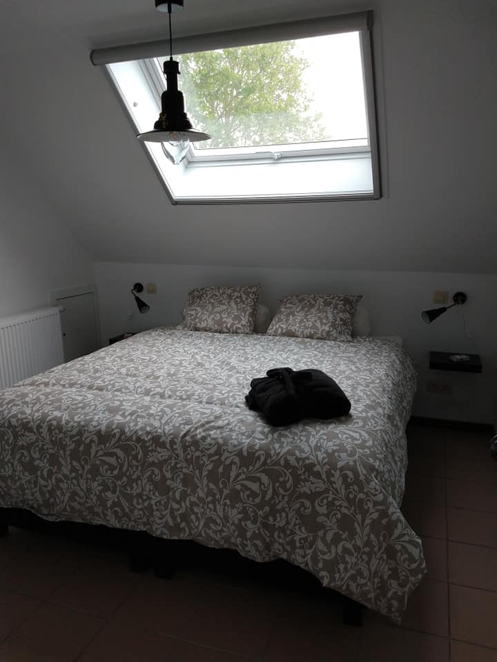 - image: 22