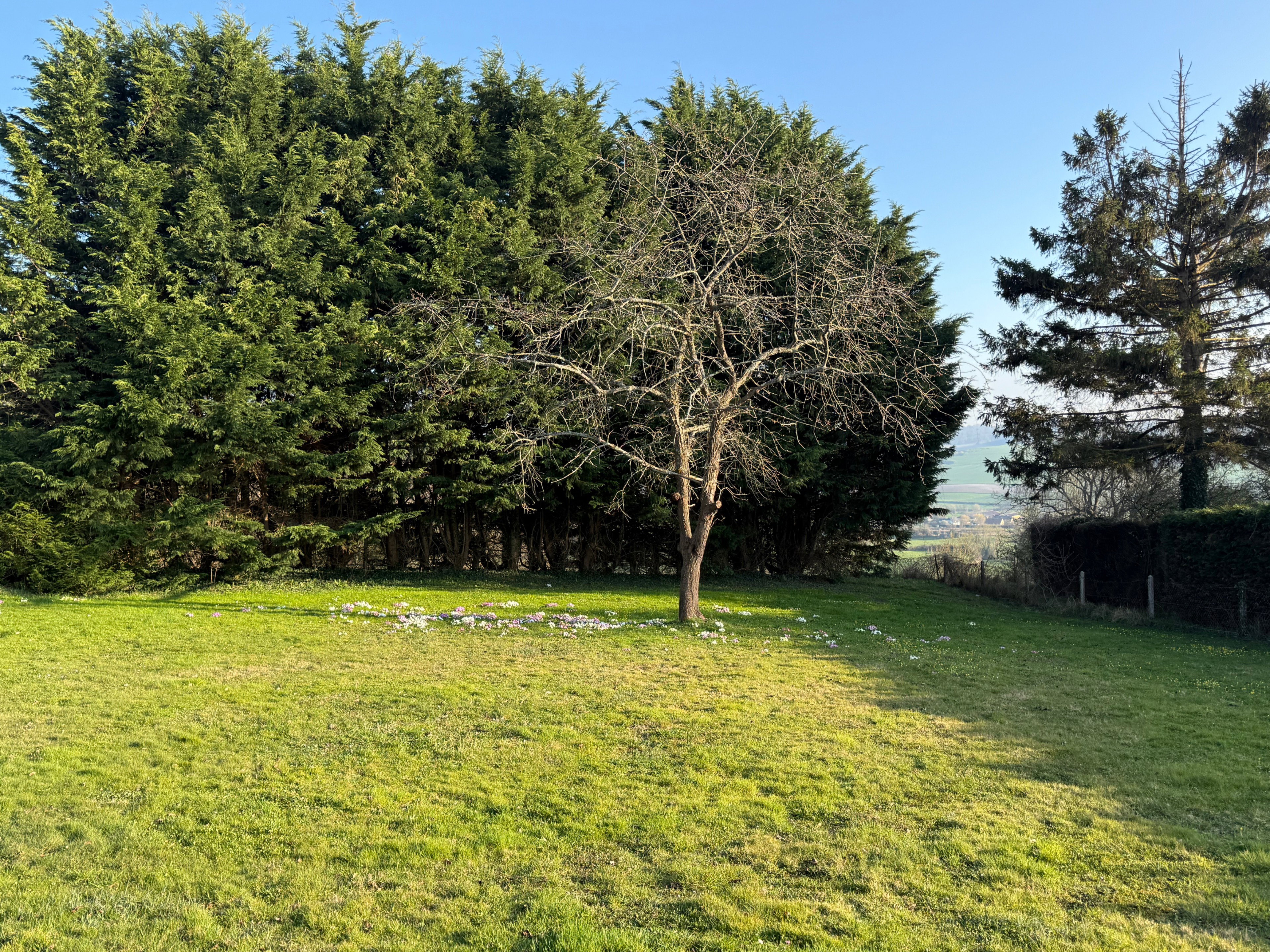 Natuurhuisje in Bellengreville