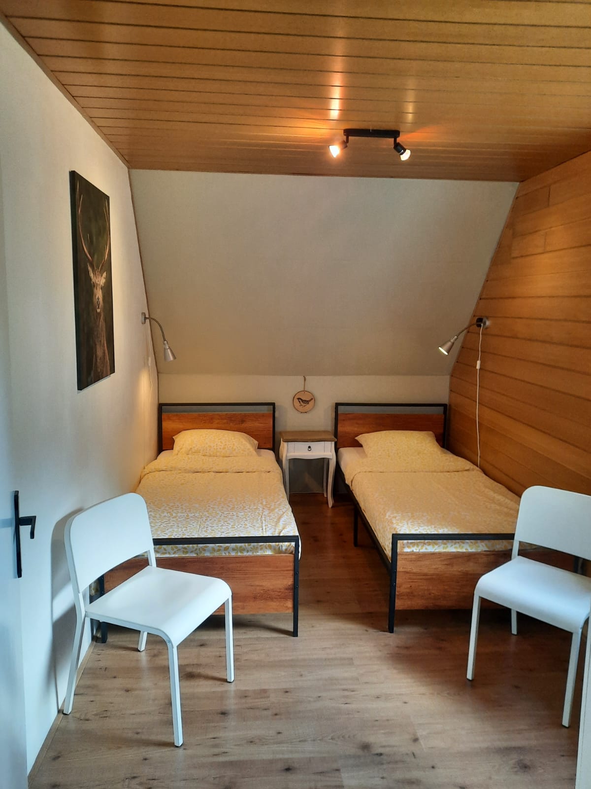 - image: 11