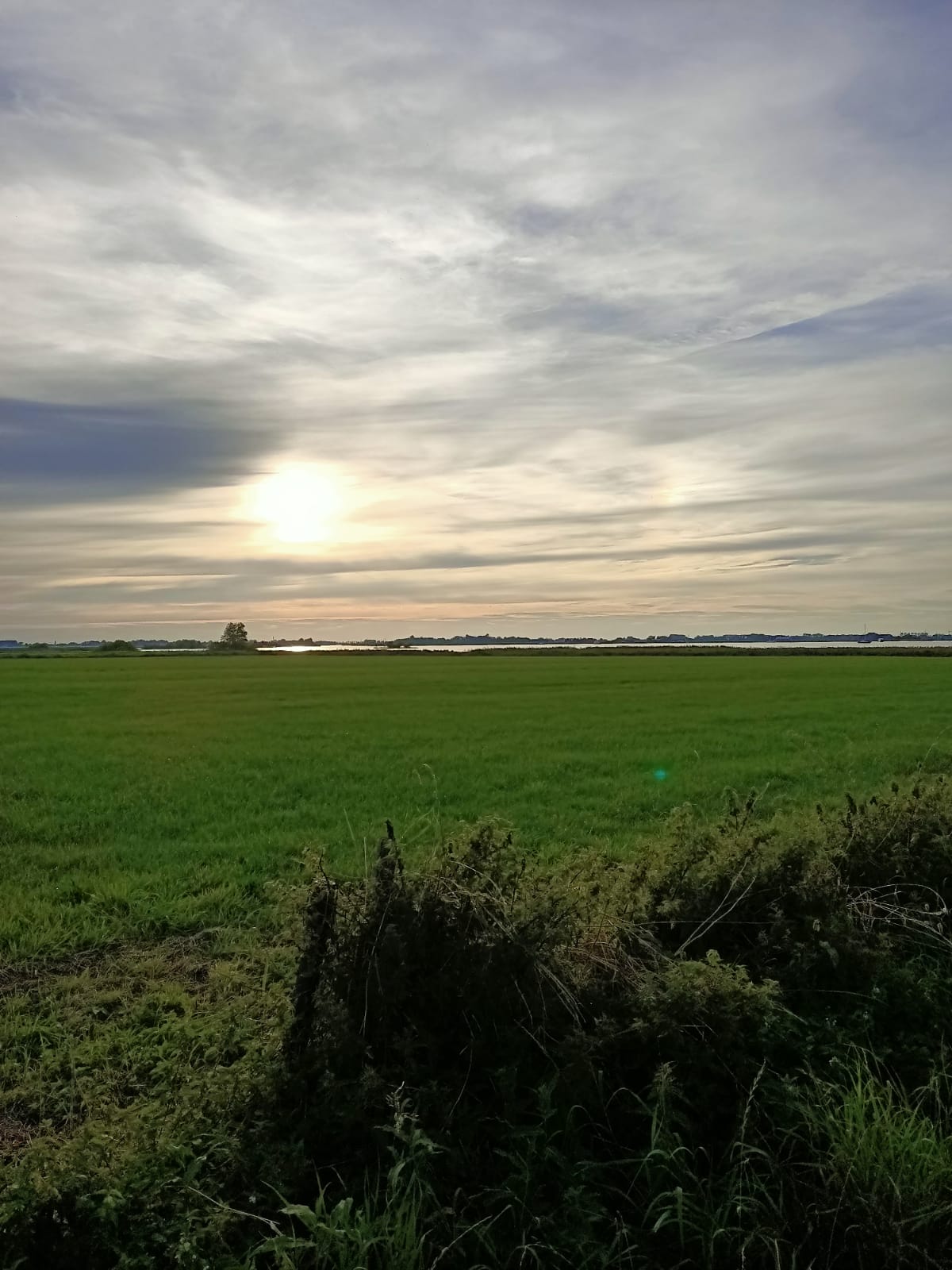 - image: 19