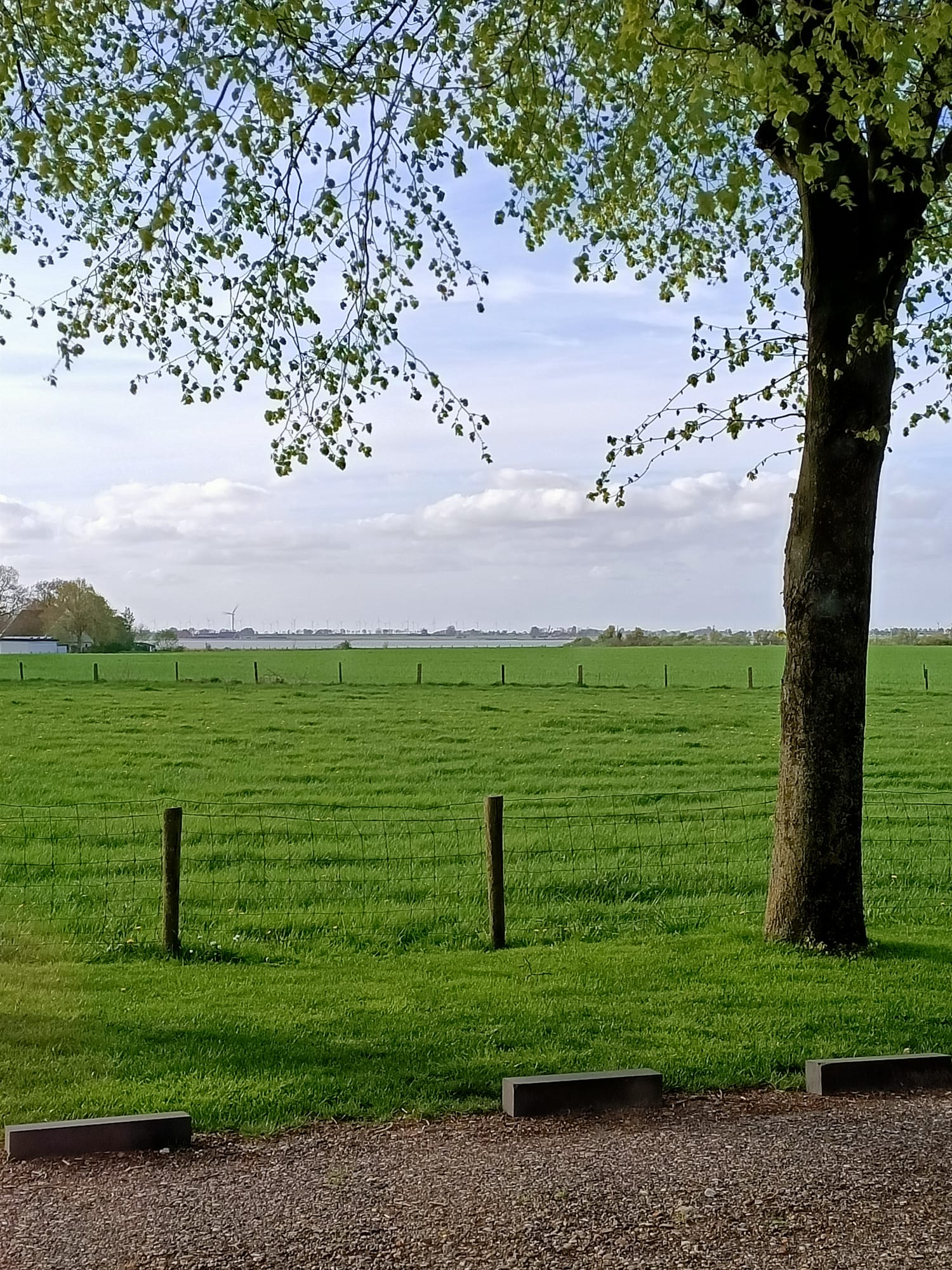 Natuurhuisje in Hemelum