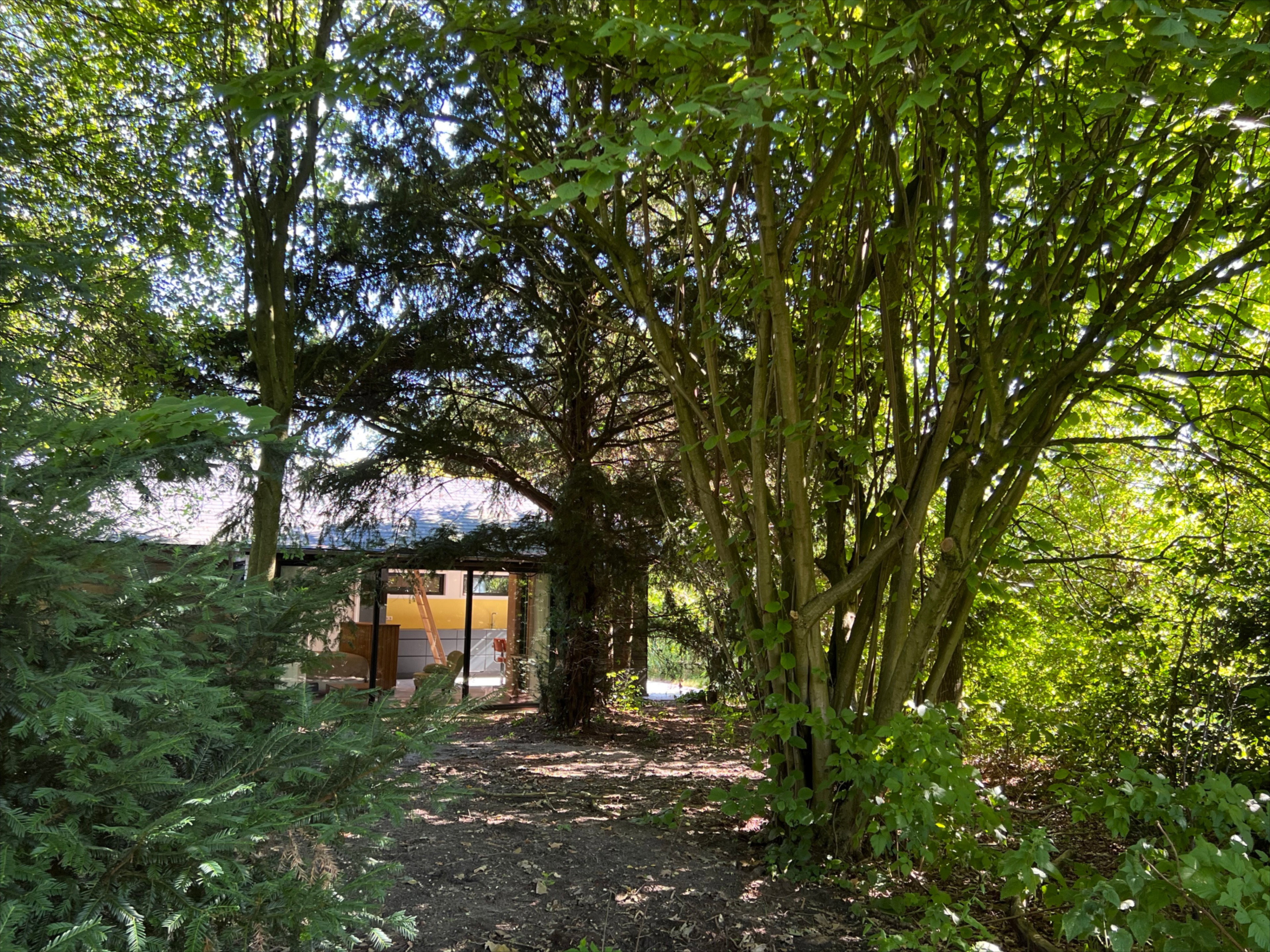 Naturhäuschen in Voorschoten