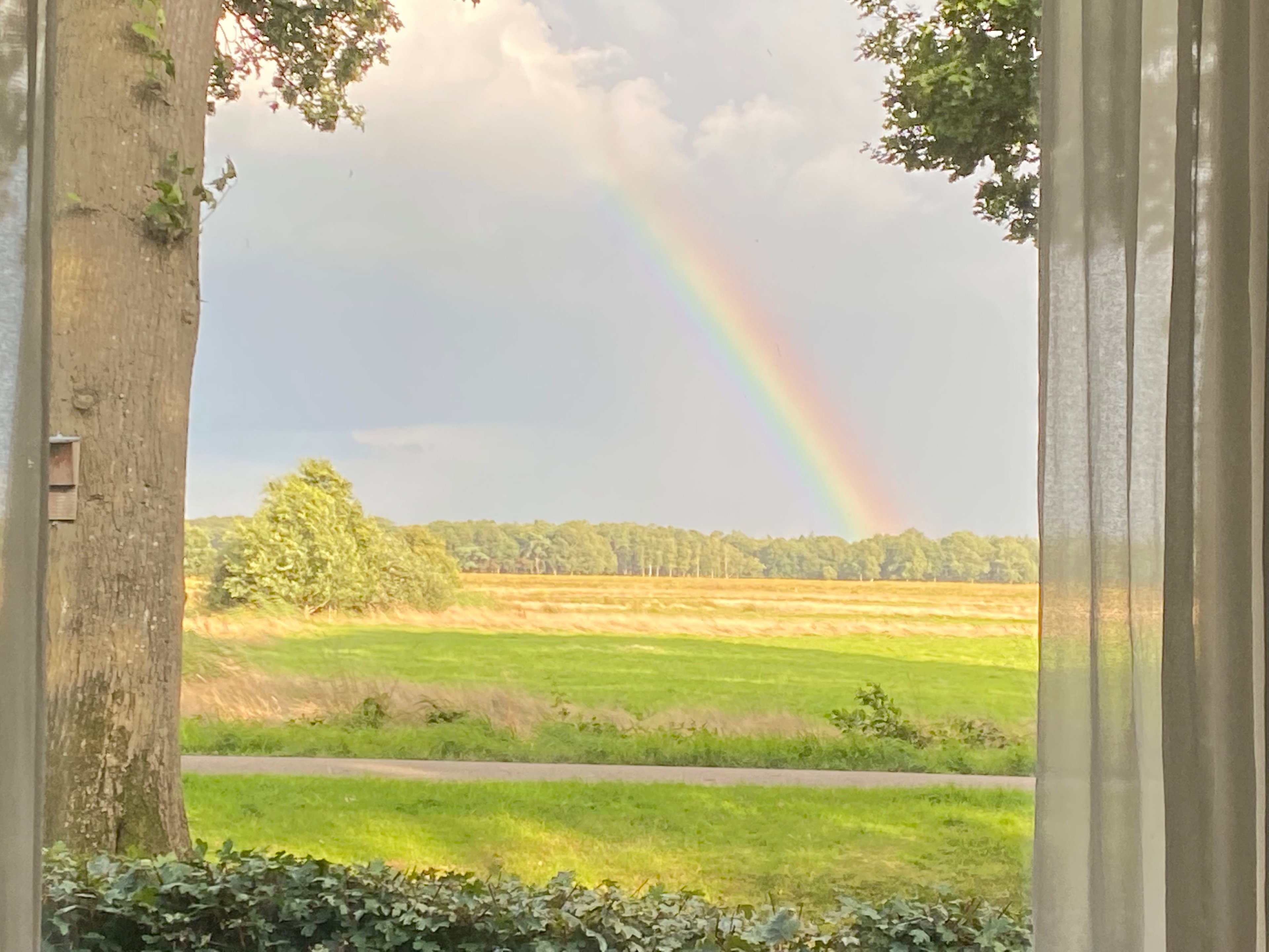 Naturhäuschen in Doldersum